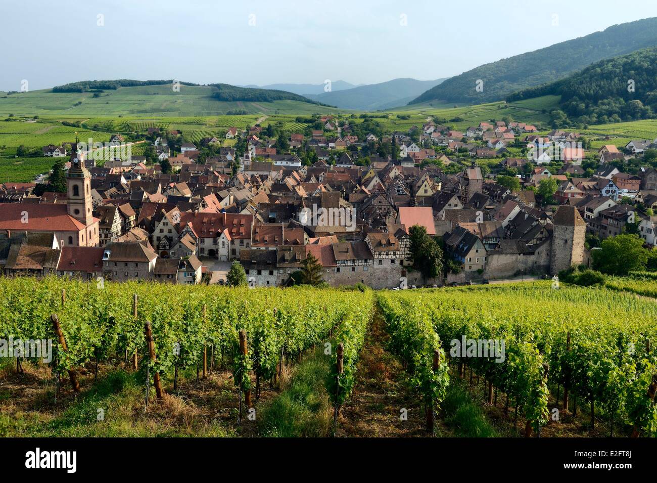 France Haut Rhin the Alsace Wine Route Riquewihr surrounded by vineyards labelled Les Plus Beaux Villages de France (The Most Stock Photo
