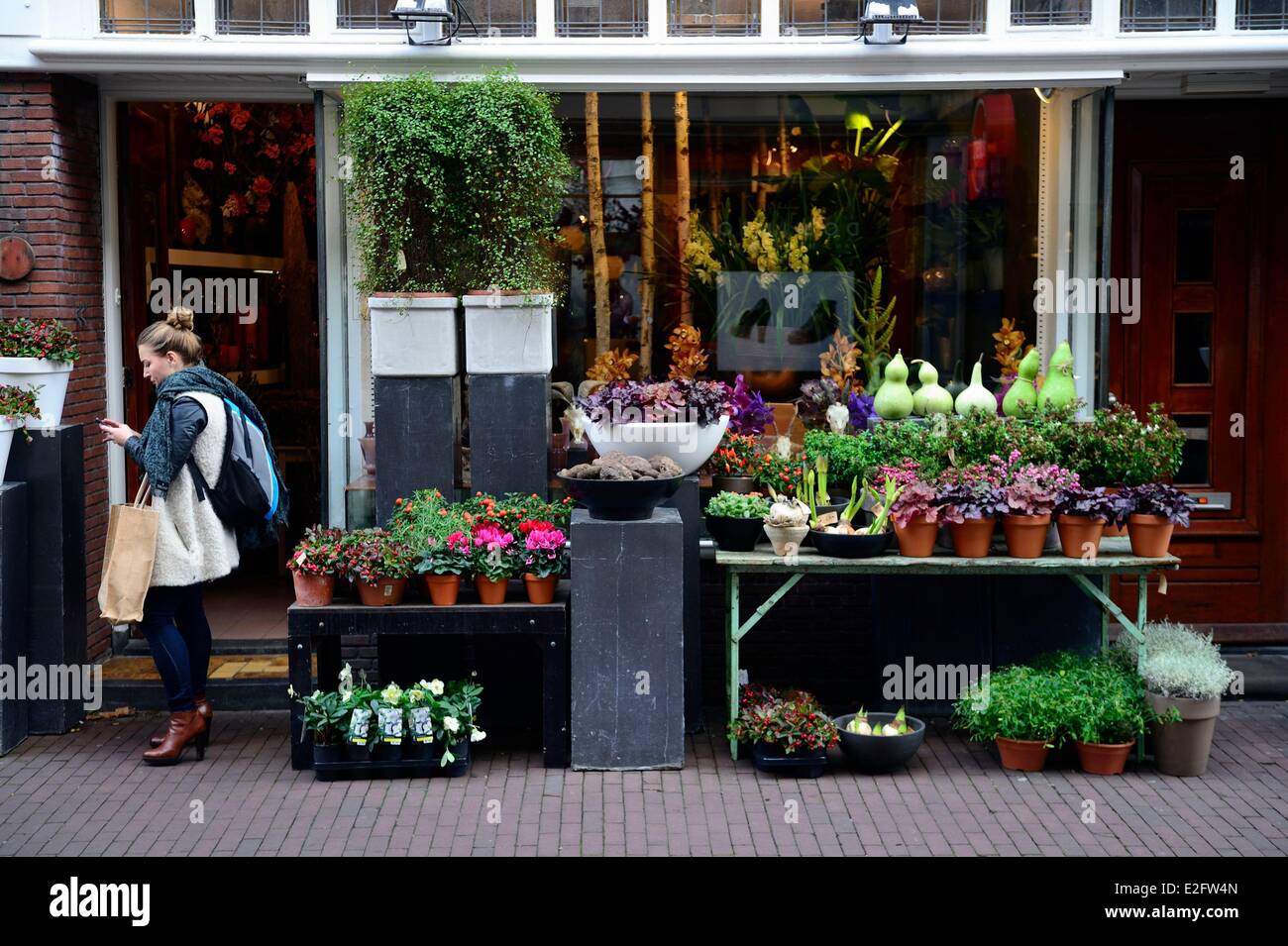 lied advocaat Republiek Netherlands Amsterdam flower shop in Wolvenstraat street Stock Photo - Alamy