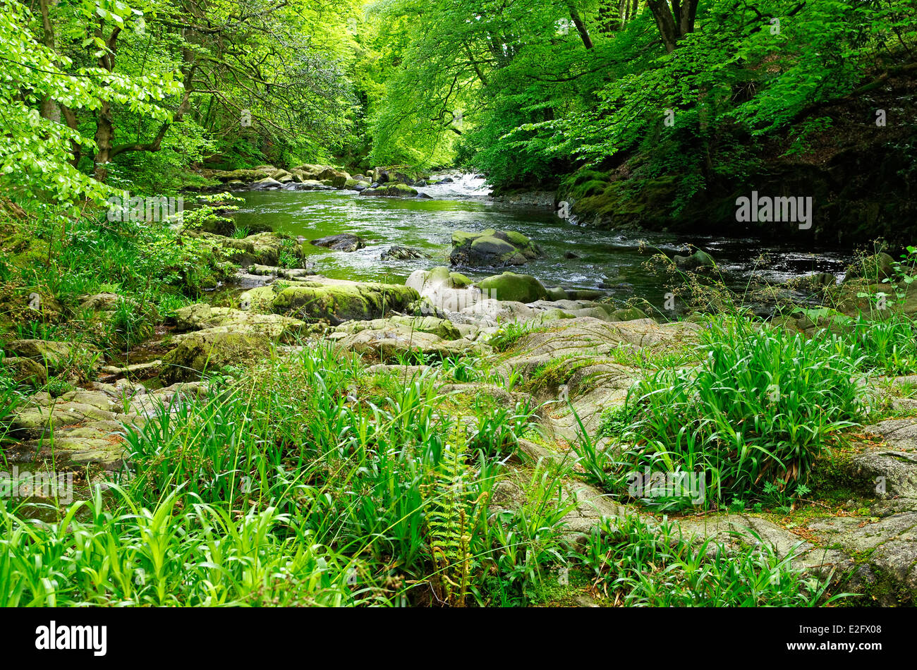River Esk, Eskdale, Lake District, Cumbria, England, UK Stock Photo