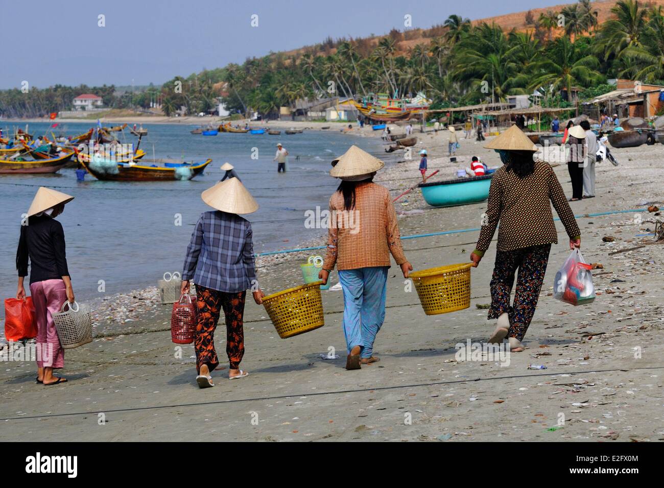 Vietnam Binh Thuan Province Mui Ne fishermen wifes cleaning and sorting fishes Stock Photo