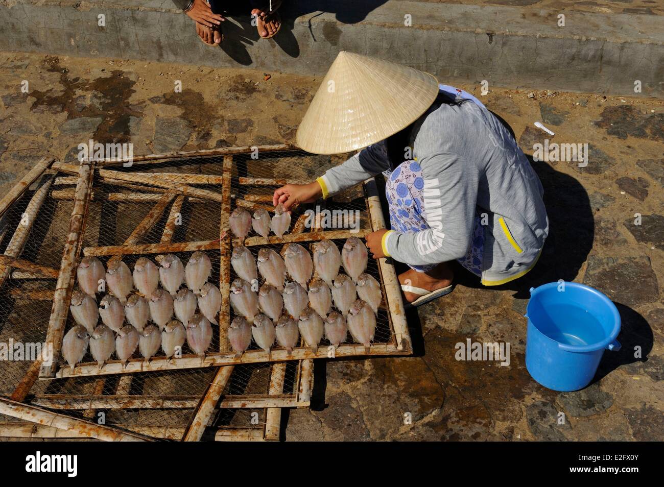 Vietnam Binh Thuan Province Mui Ne woman drying fish Stock Photo