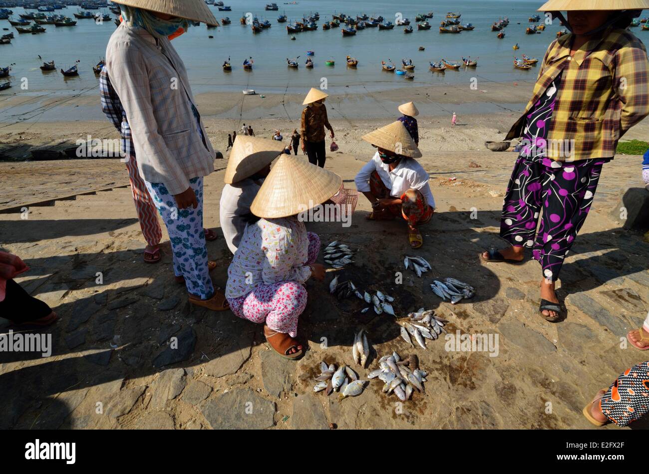 Vietnam Binh Thuan Province Mui Ne sorting and selling the fishes by fishermen wifes Stock Photo