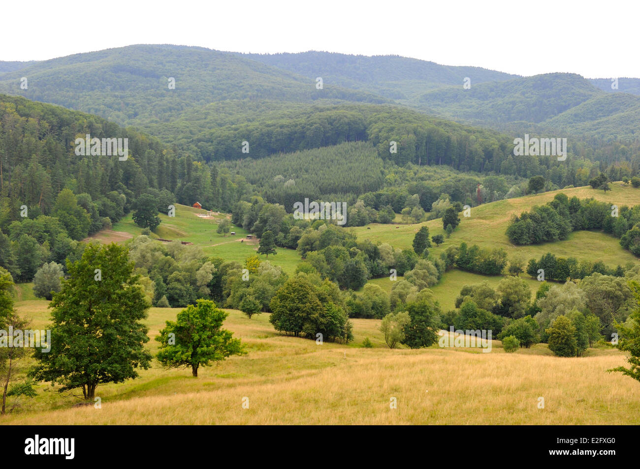 Moldova Landscape Stock Photos & Moldova Landscape Stock ...