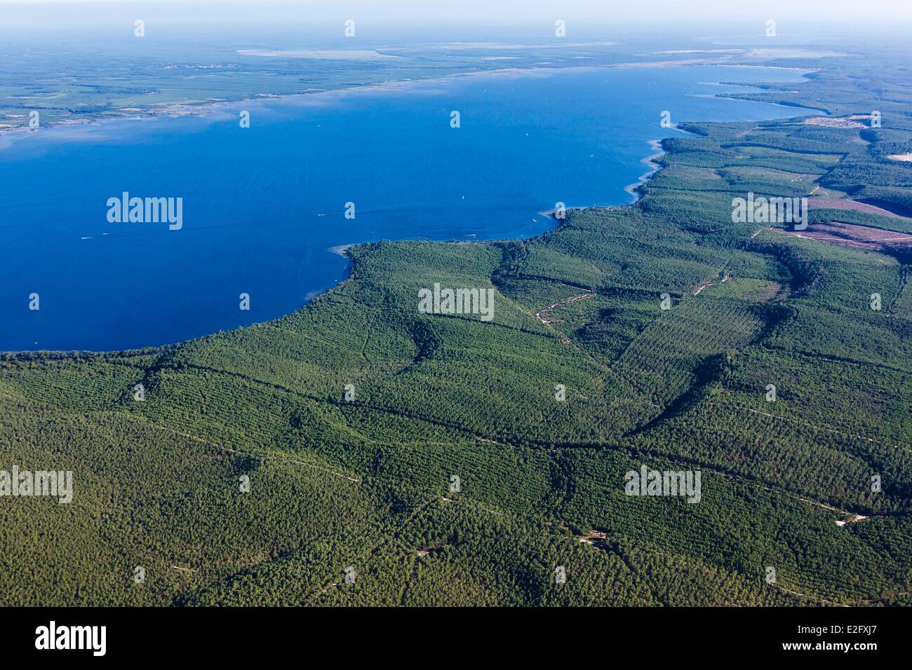 France Gironde Hourtin Hourtin lake and the pine forest (aerial view) Stock Photo