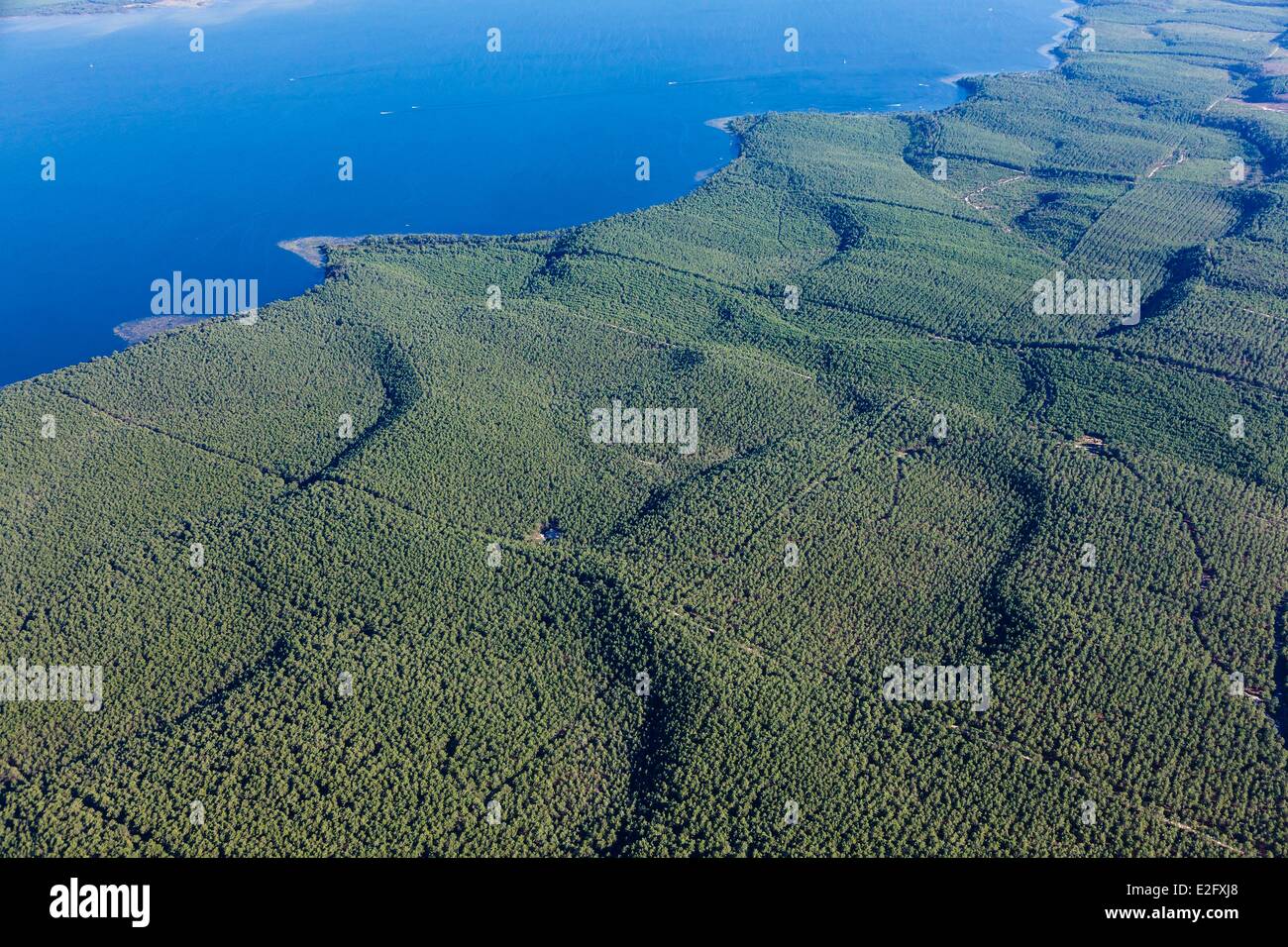 France Gironde Hourtin Hourtin lake and the pine forest (aerial view) Stock Photo