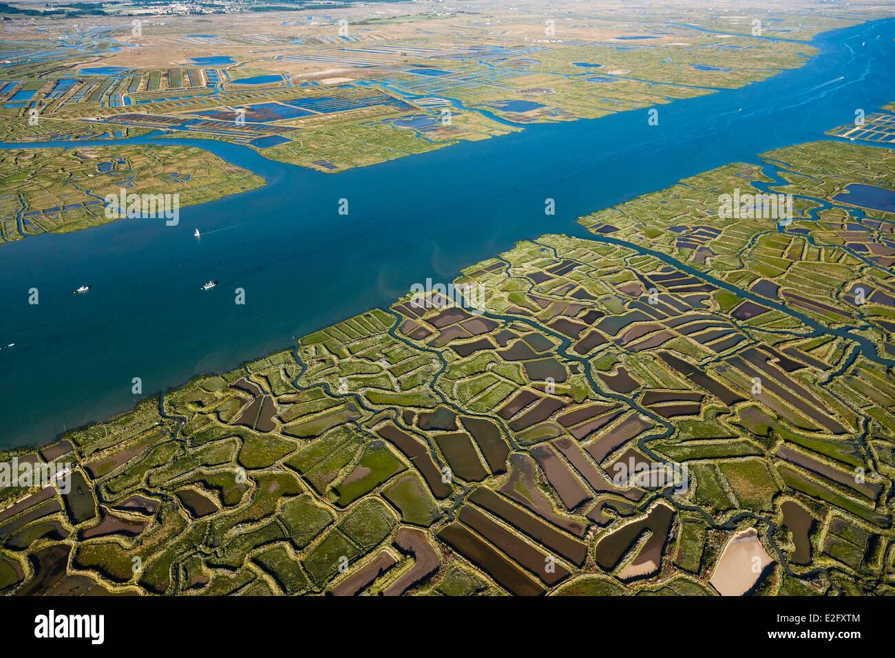 France Charente Maritime La Tremblade marshes near the Seudre river (aerial view) Stock Photo