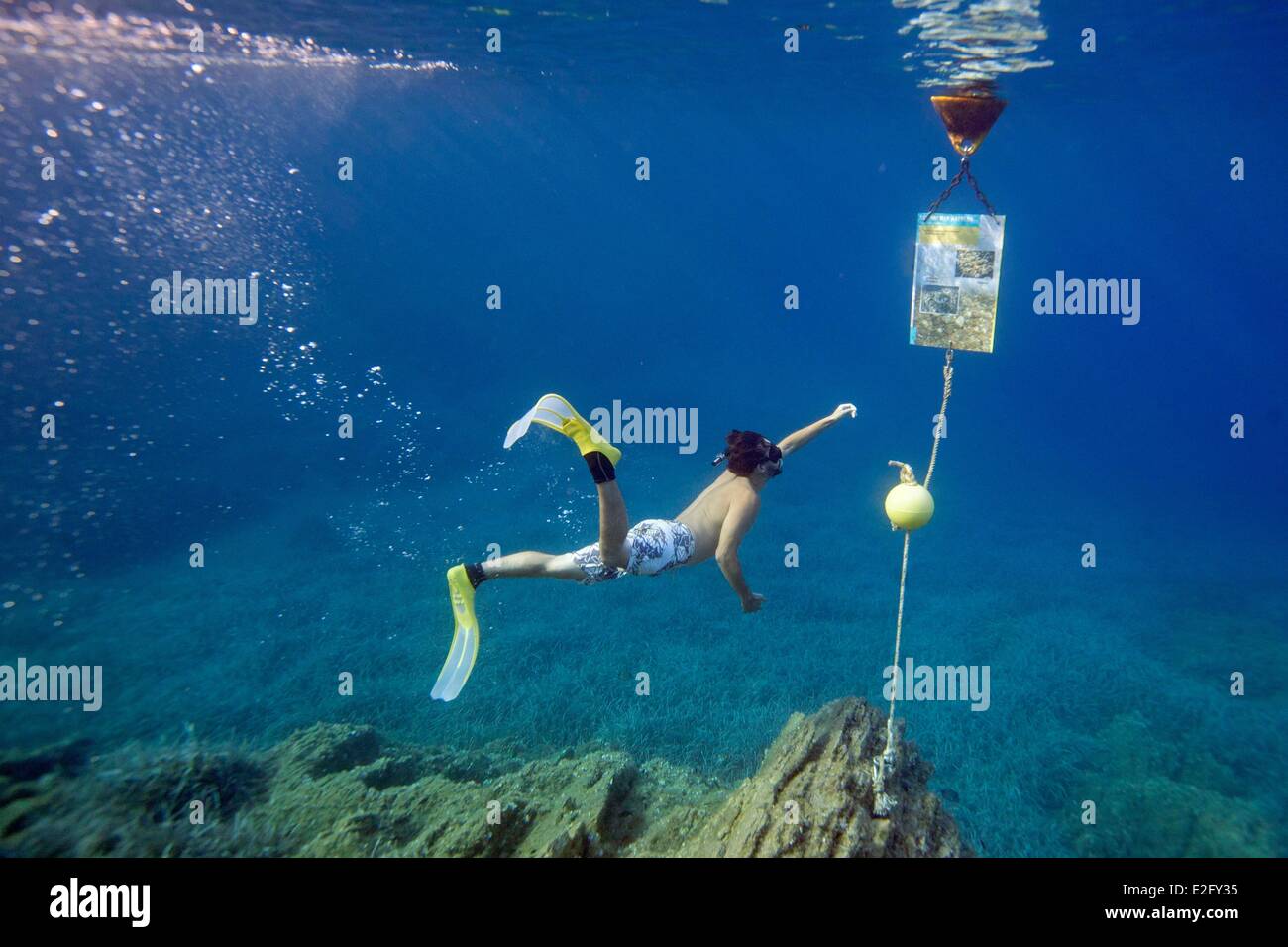 France Var National Park Port Cros Hyeres underwater trail of Palud Stock  Photo - Alamy