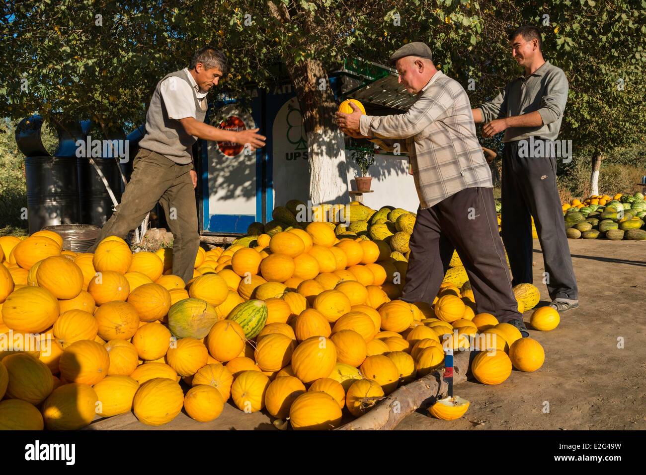 Uzbekistan Silk Road Khorezm province melon seller Stock Photo