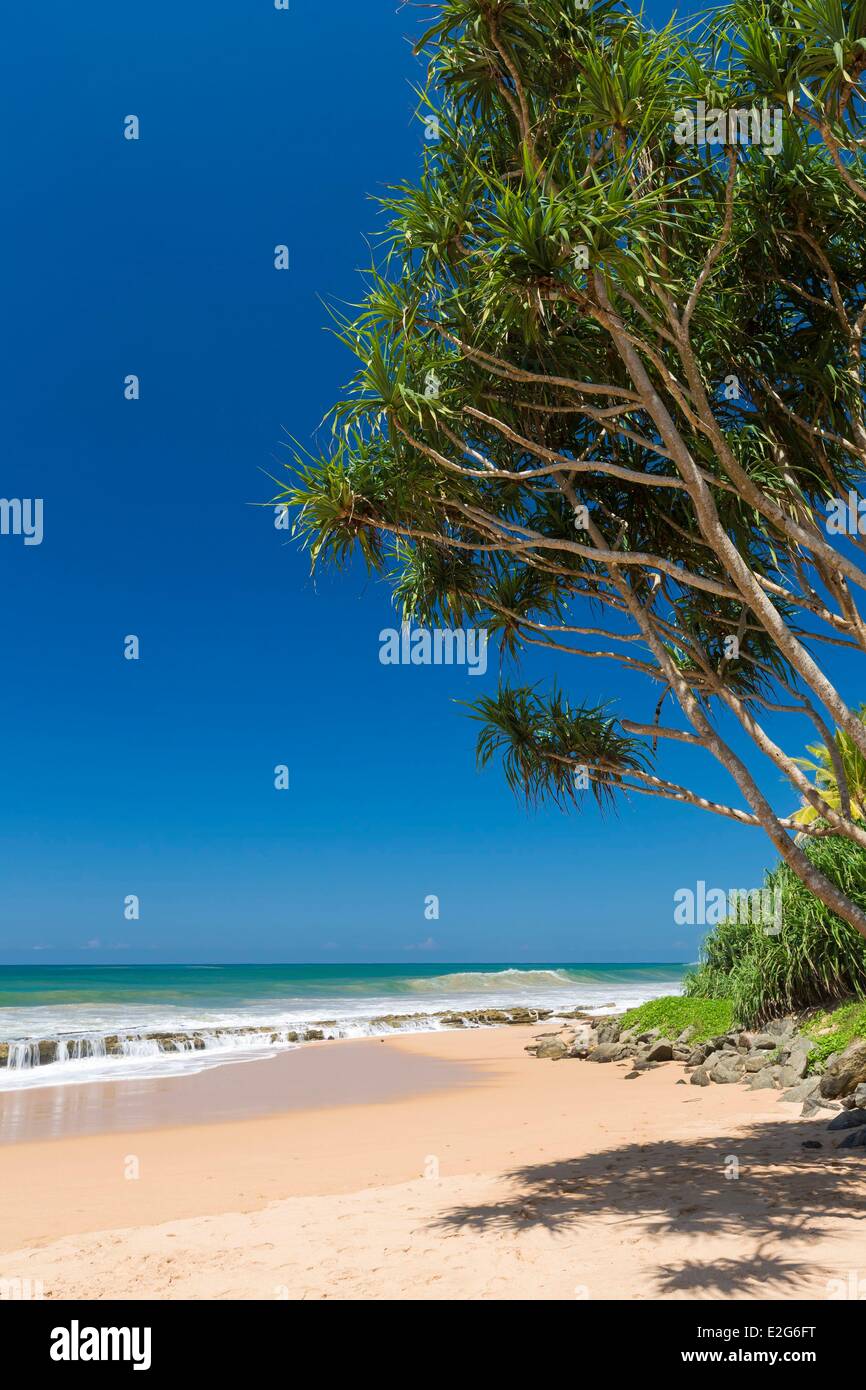 Sri Lanka Southern province Galle district Kosgoda beach Stock Photo
