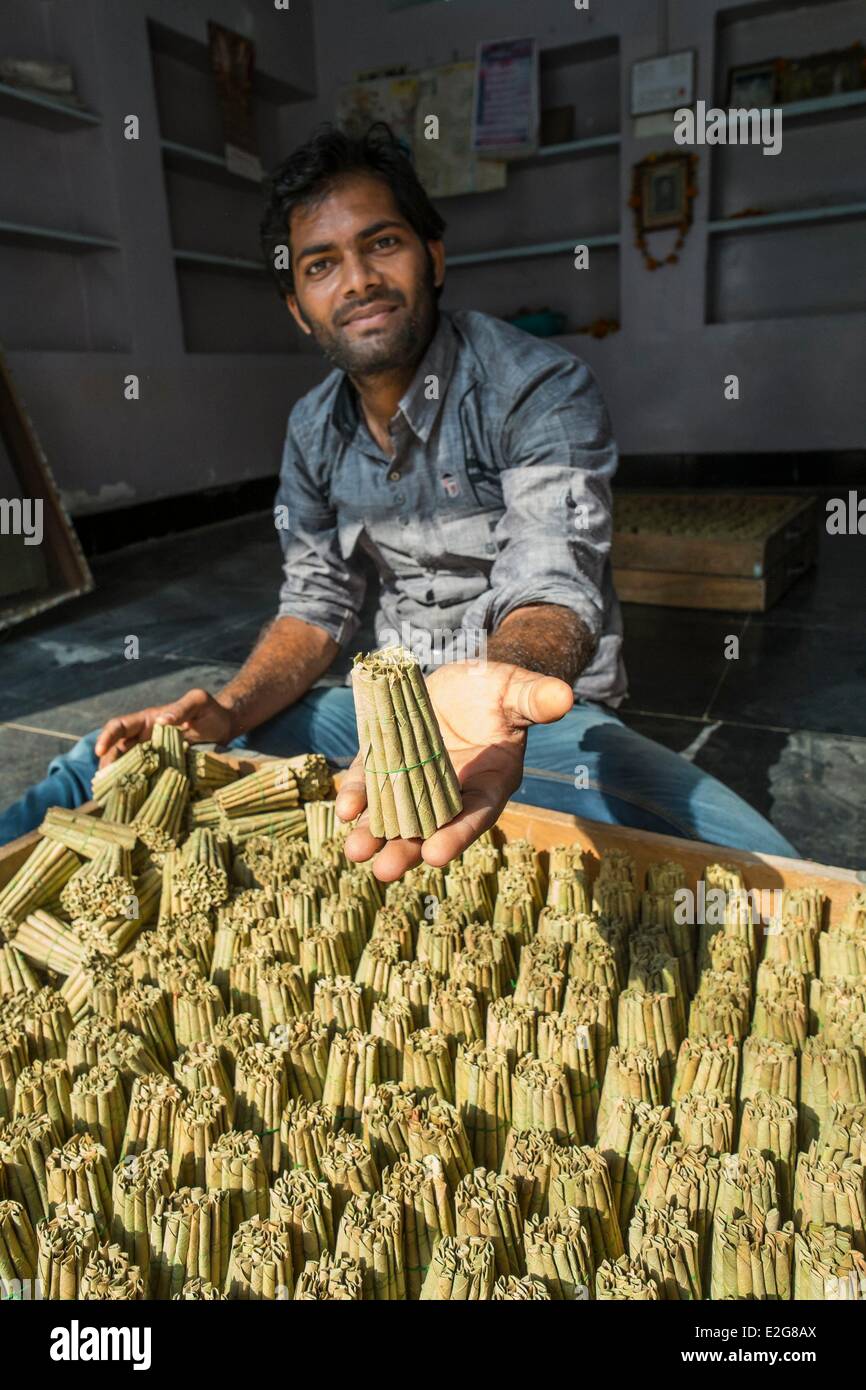 India Rajasthan State Bassi traditional village known for its crafts