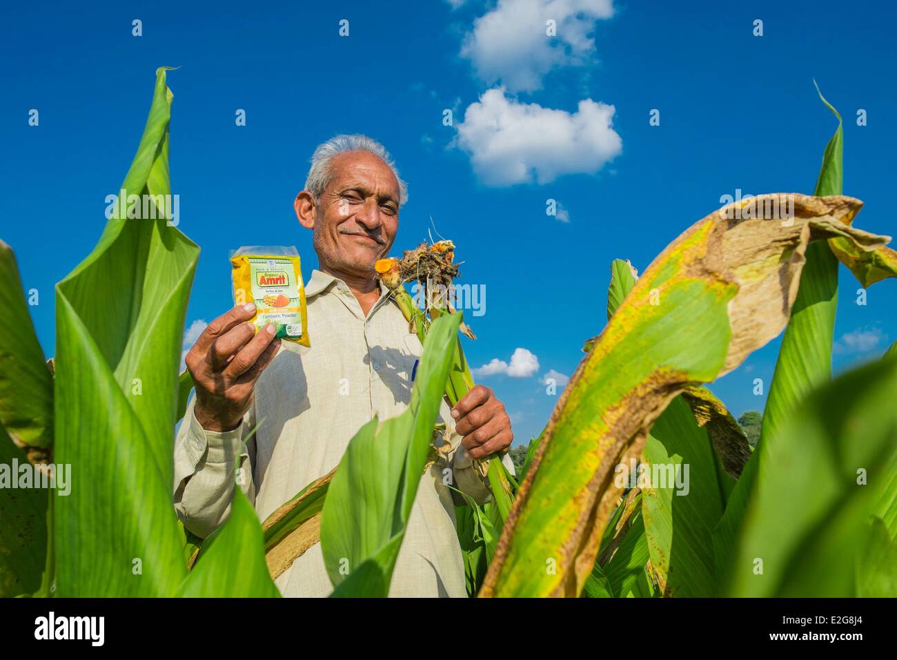 India Rajasthan State village of Manpura the organic farm of Mr Hukam Chand Patidar who is also president of the organic Stock Photo