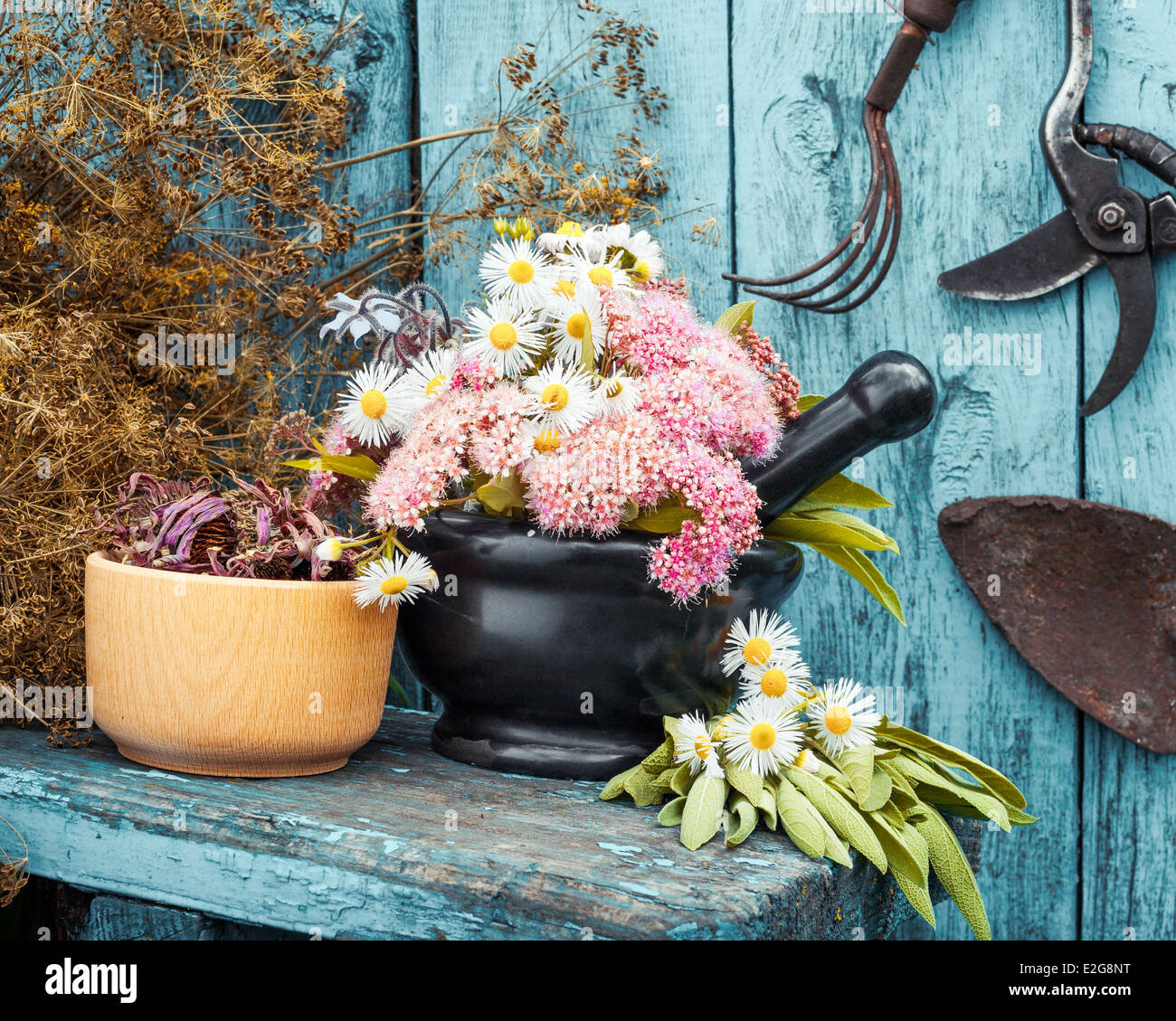 mortar with healing herbs and garden equipment outdoors Stock Photo