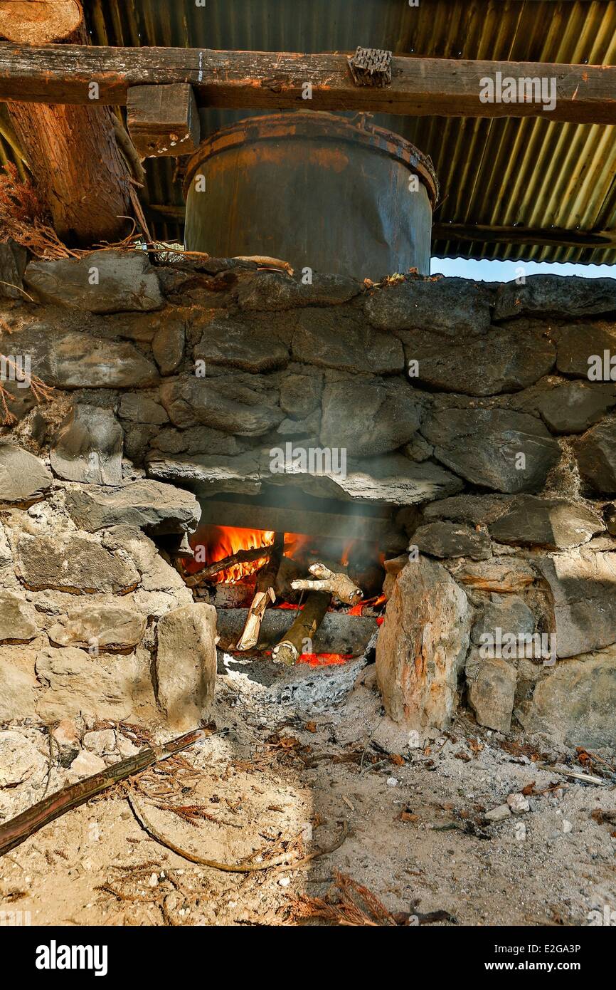 France Ile de la Reunion (French overseas department) Petite France