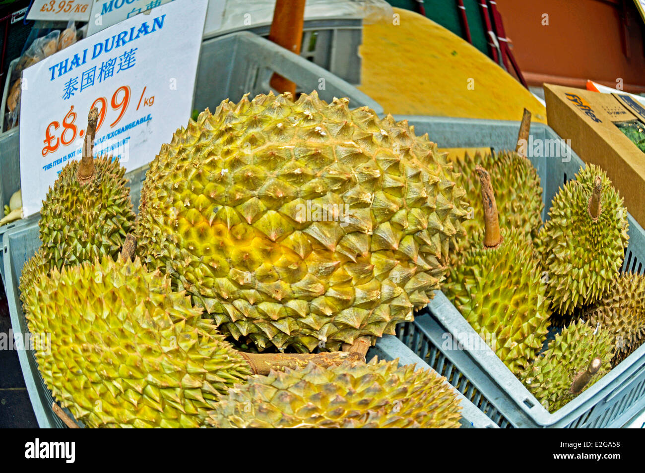 Display of Thai Durian on sale, Chinatown, West End, City of Westminster, London, England, United Kingdom Stock Photo