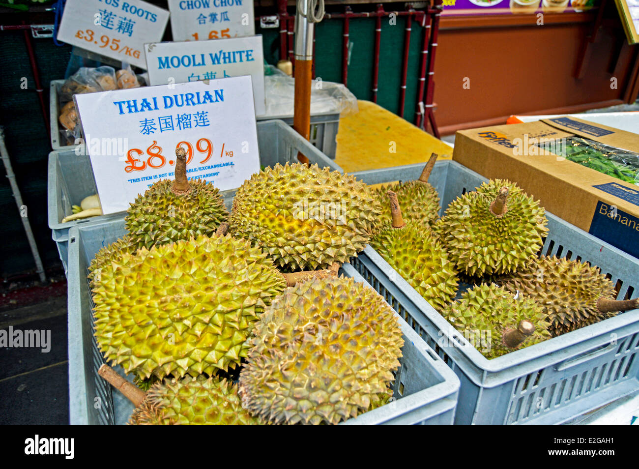 Display of Thai Durian on sale, Chinatown, West End, City of Westminster, London, England, United Kingdom Stock Photo