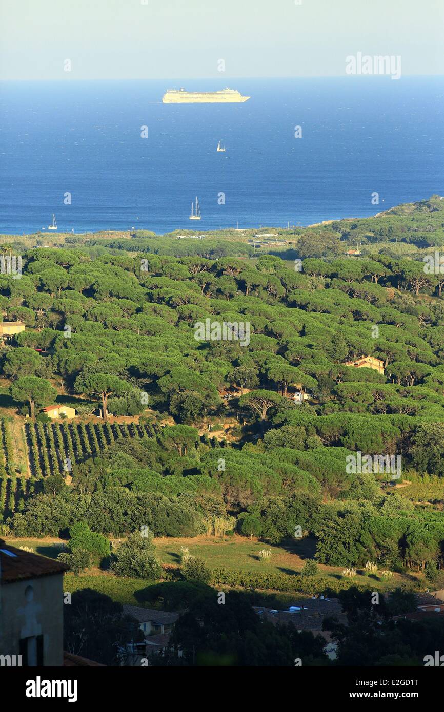 France Var Saint Tropez peninsula Ramatuelle vine AOC Cotes de Provence Pampelonne beach in background Stock Photo