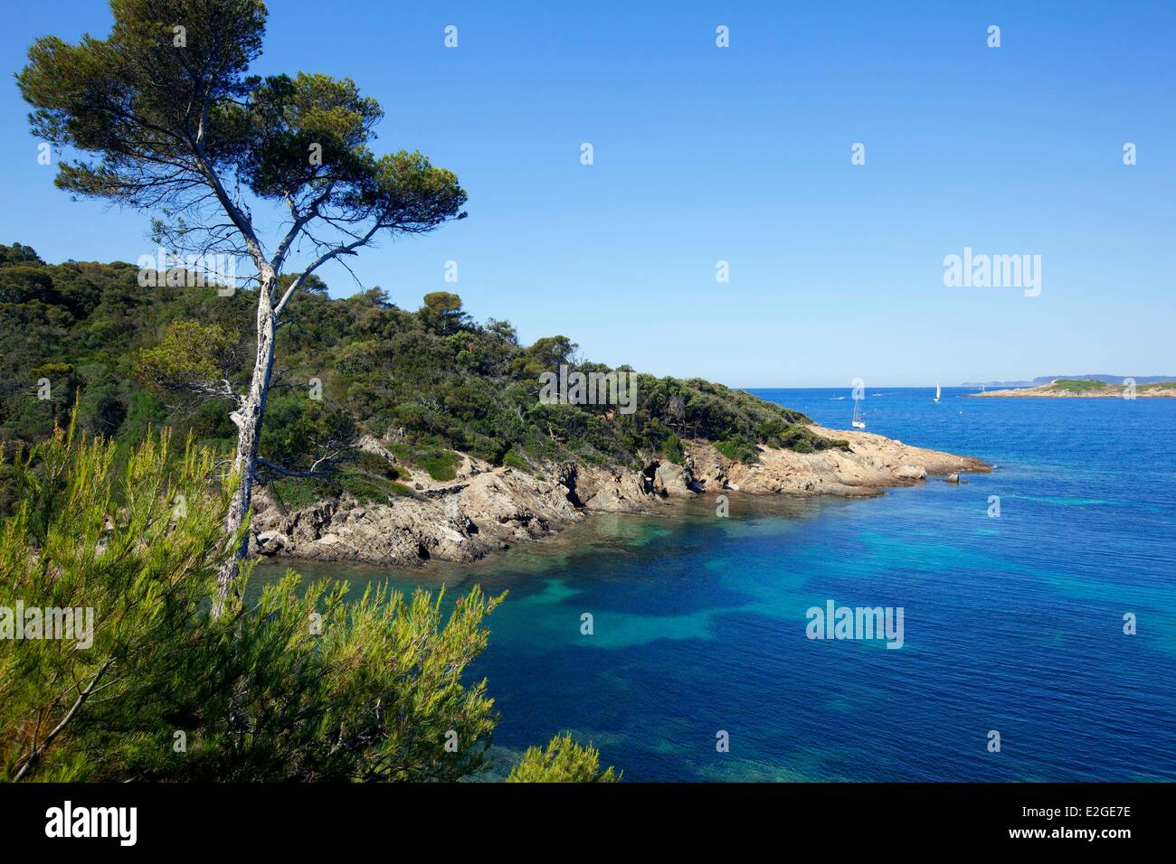 France Var Hyeres Islands National Park Of Port Cros Island Of Port Stock Photo Alamy