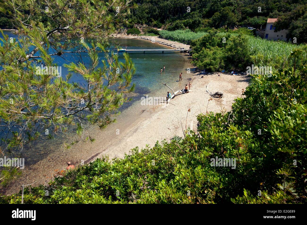 France Var Hyeres Islands National Park of Port Cros island of Port ...