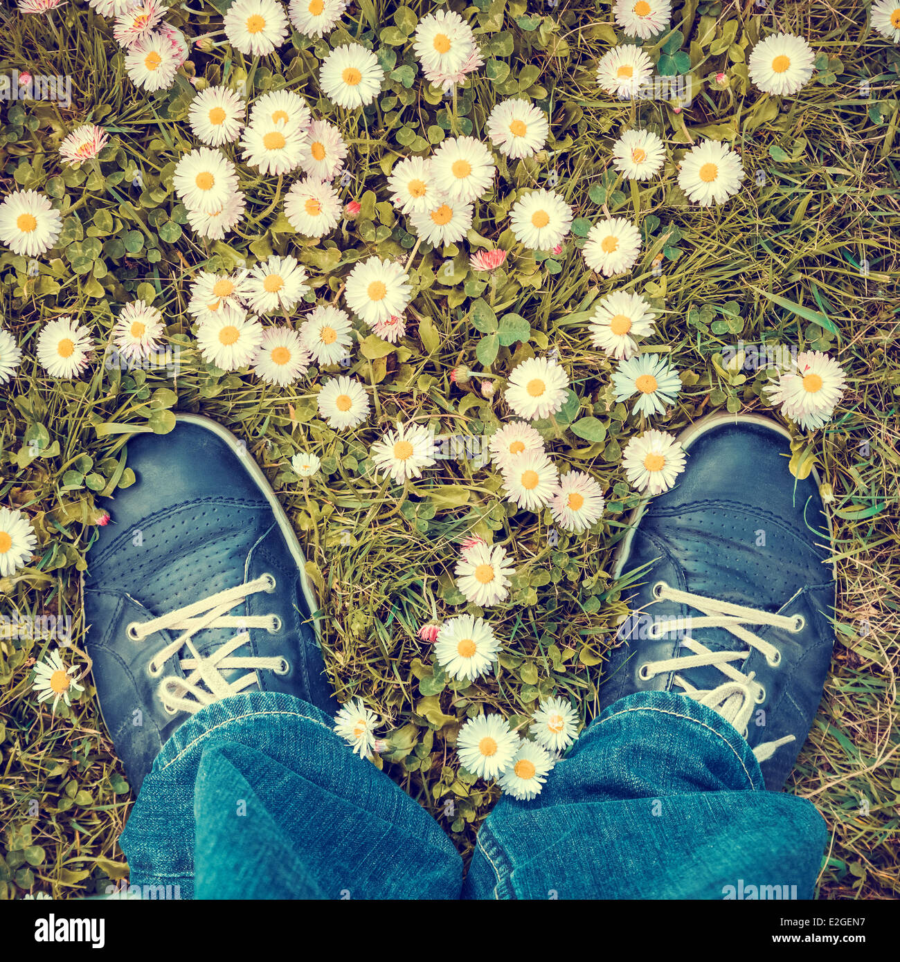blue shoes in lawn with daisies from above Stock Photo
