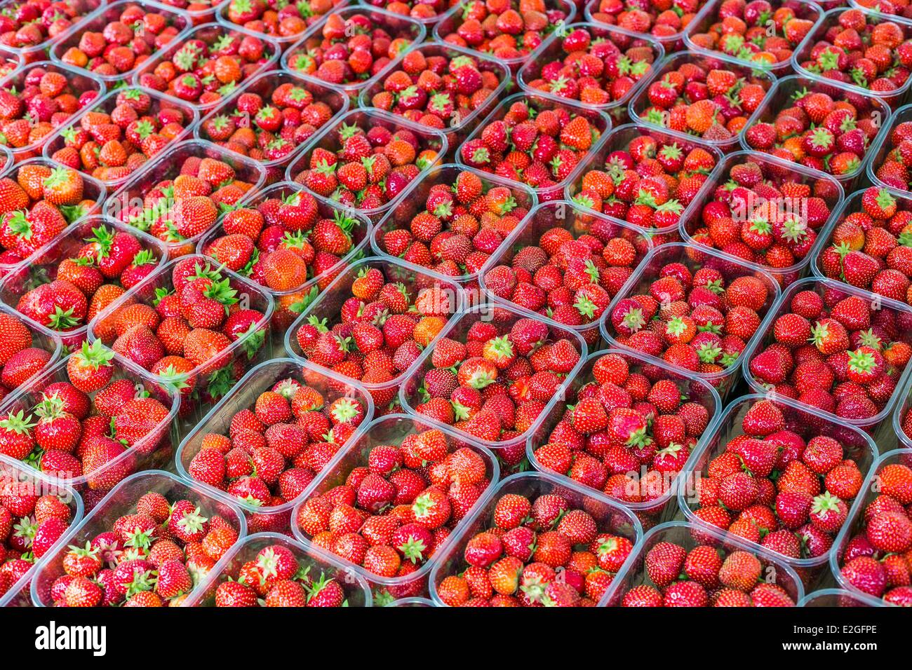 Netherlands South Holland Rotterdam Binnenrotte country's largest market strawberries country Stock Photo