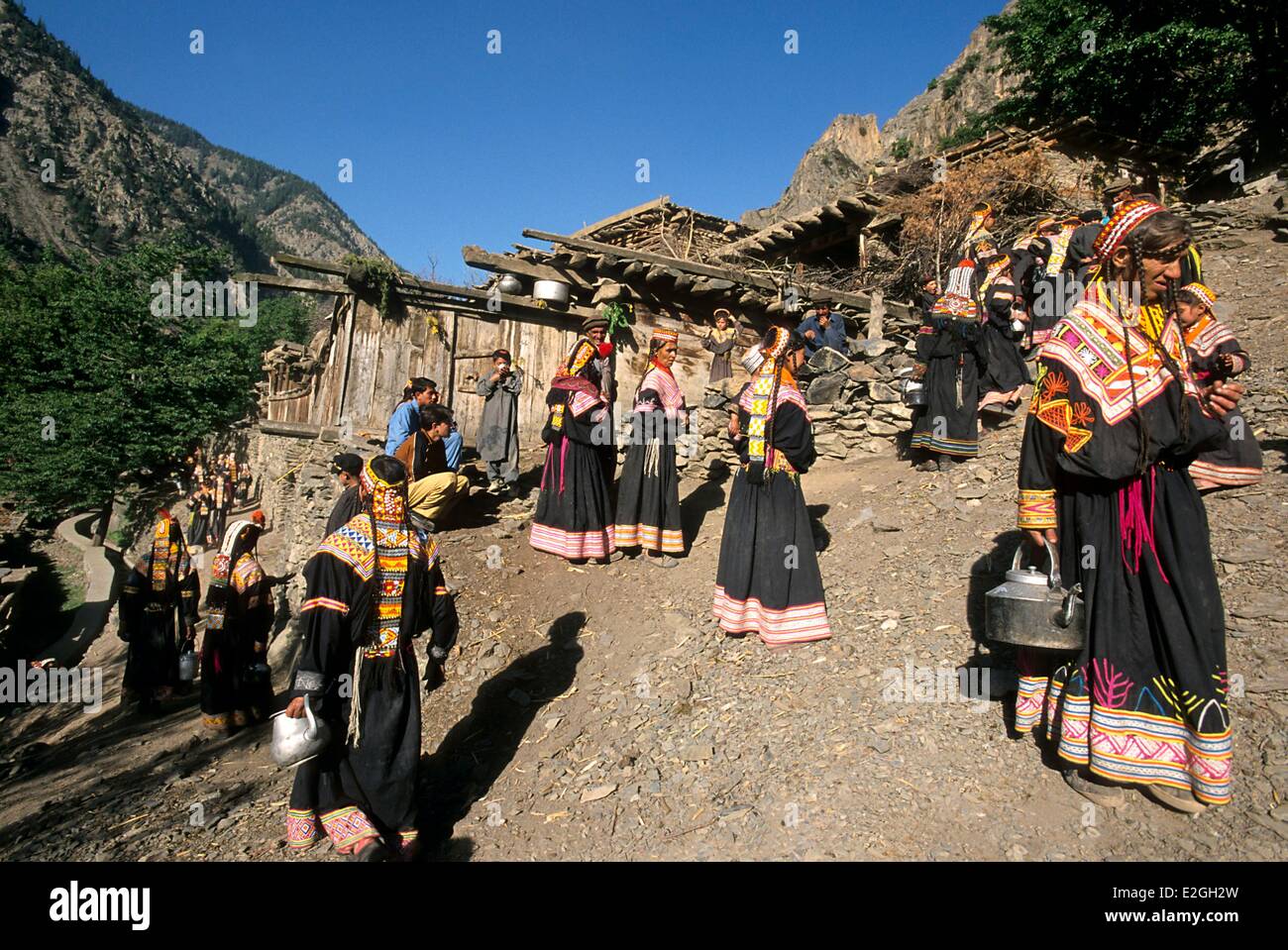 Pakistan Khyber Pakhtunkhwa Kalash valleys Bumburet valley Krakal village in procession and with receptacles women and children visit all cowsheds where milk is flowing in torrents after ten days of deprivation ritual of Tchir Pim Bas milk day prelude in Stock Photo