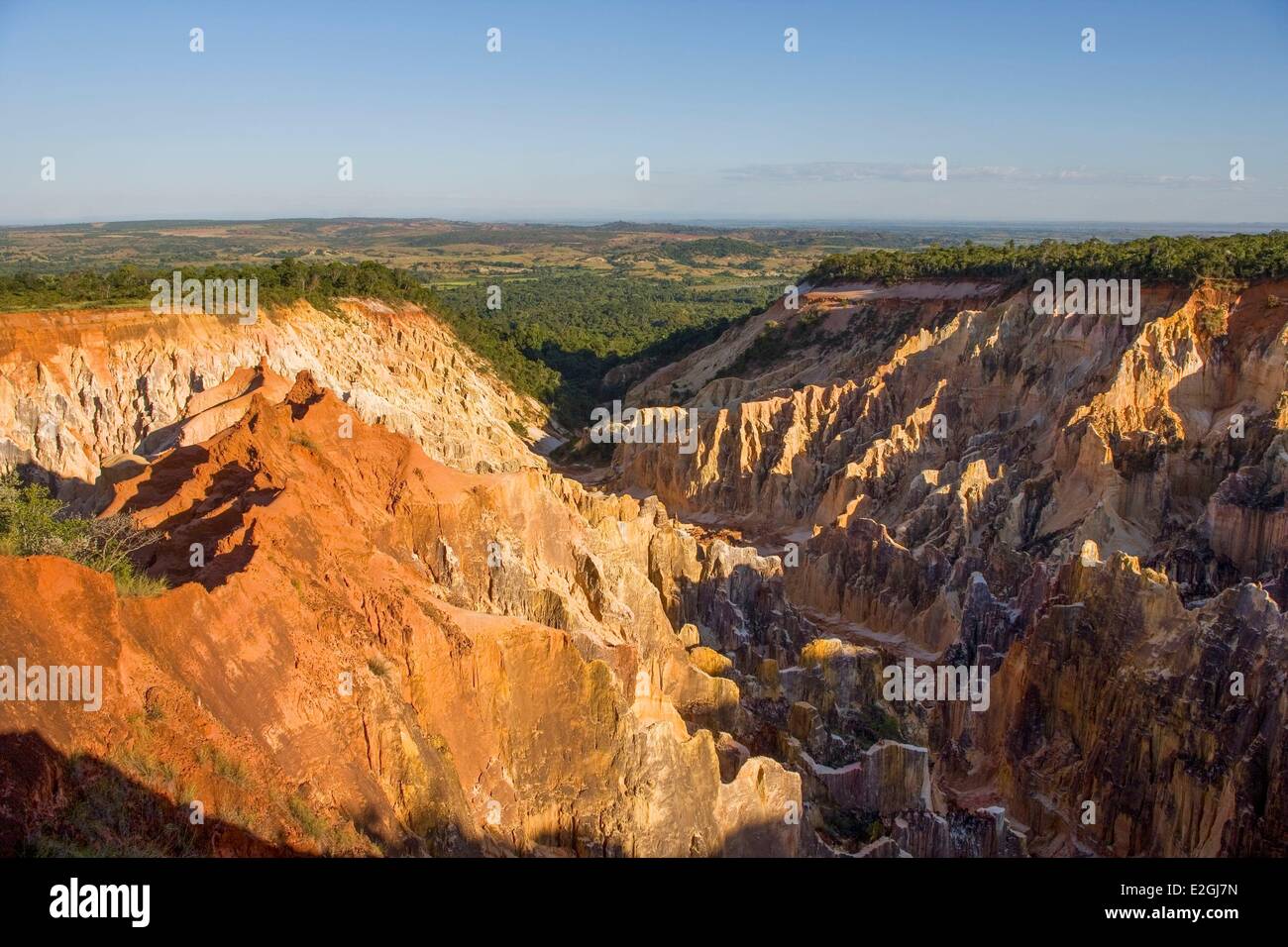 ankarafantsika-national-park-hi-res-stock-photography-and-images-alamy