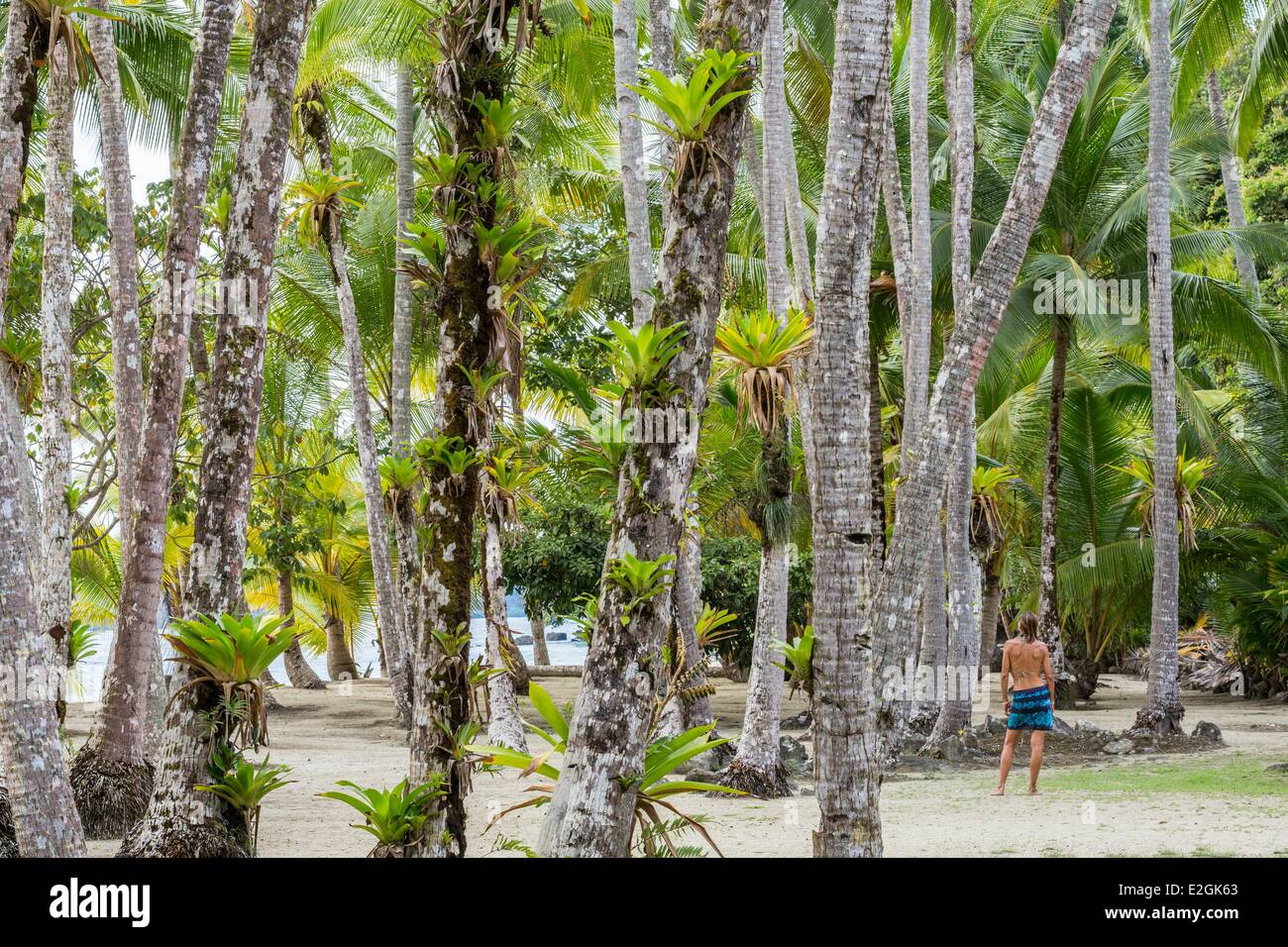 Panama Veraguas province Gulf of Chiriqui National Park of Coiba listed as World Heritage by UNESCO since 2005 Rancheria island palm beach Stock Photo