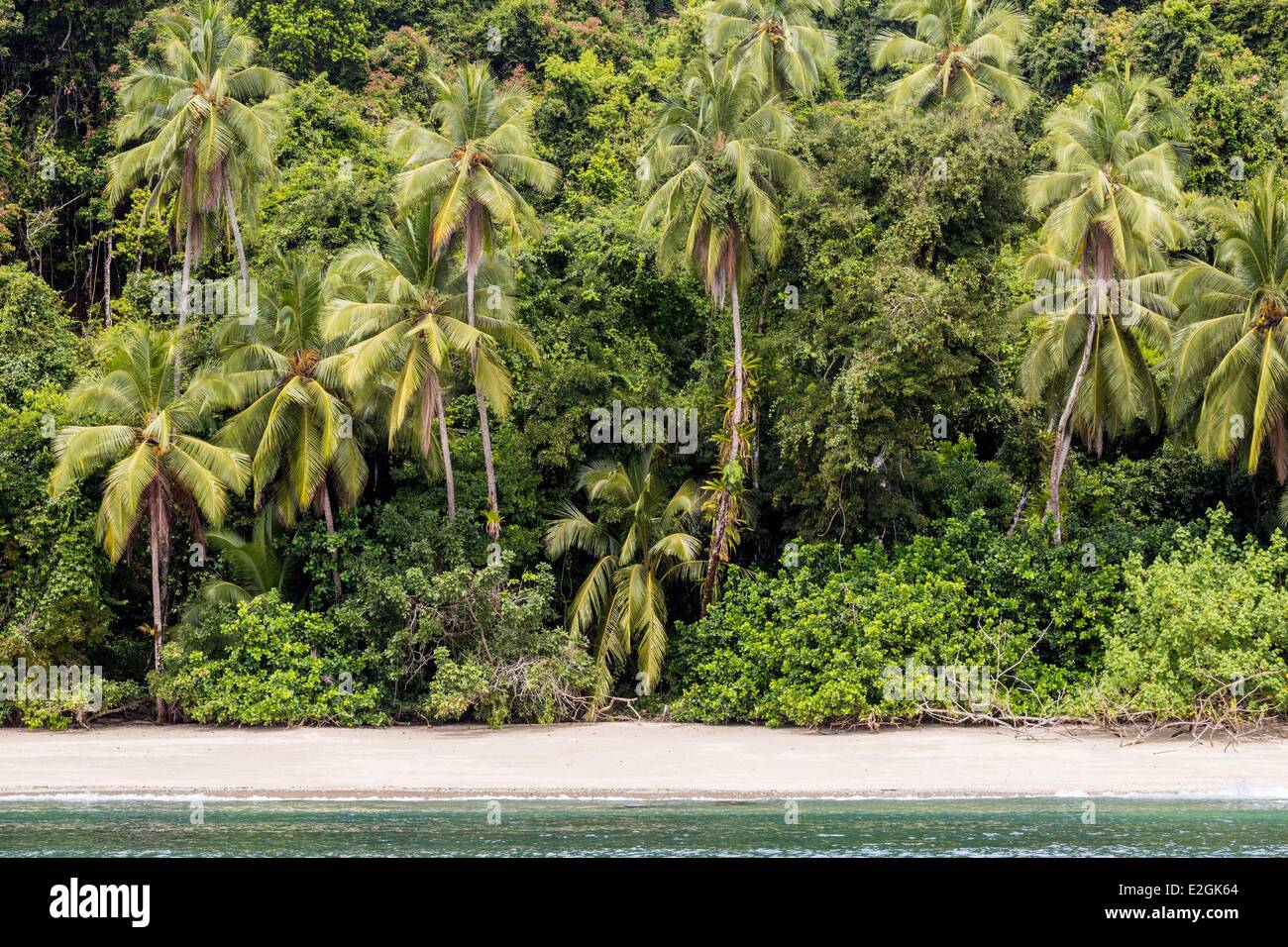 Panama Veraguas province Gulf of Chiriqui National Park of Coiba listed as  World Heritage by UNESCO since 2005 Rancheria island palm-fringed beach  Stock Photo - Alamy, image size:1300x956