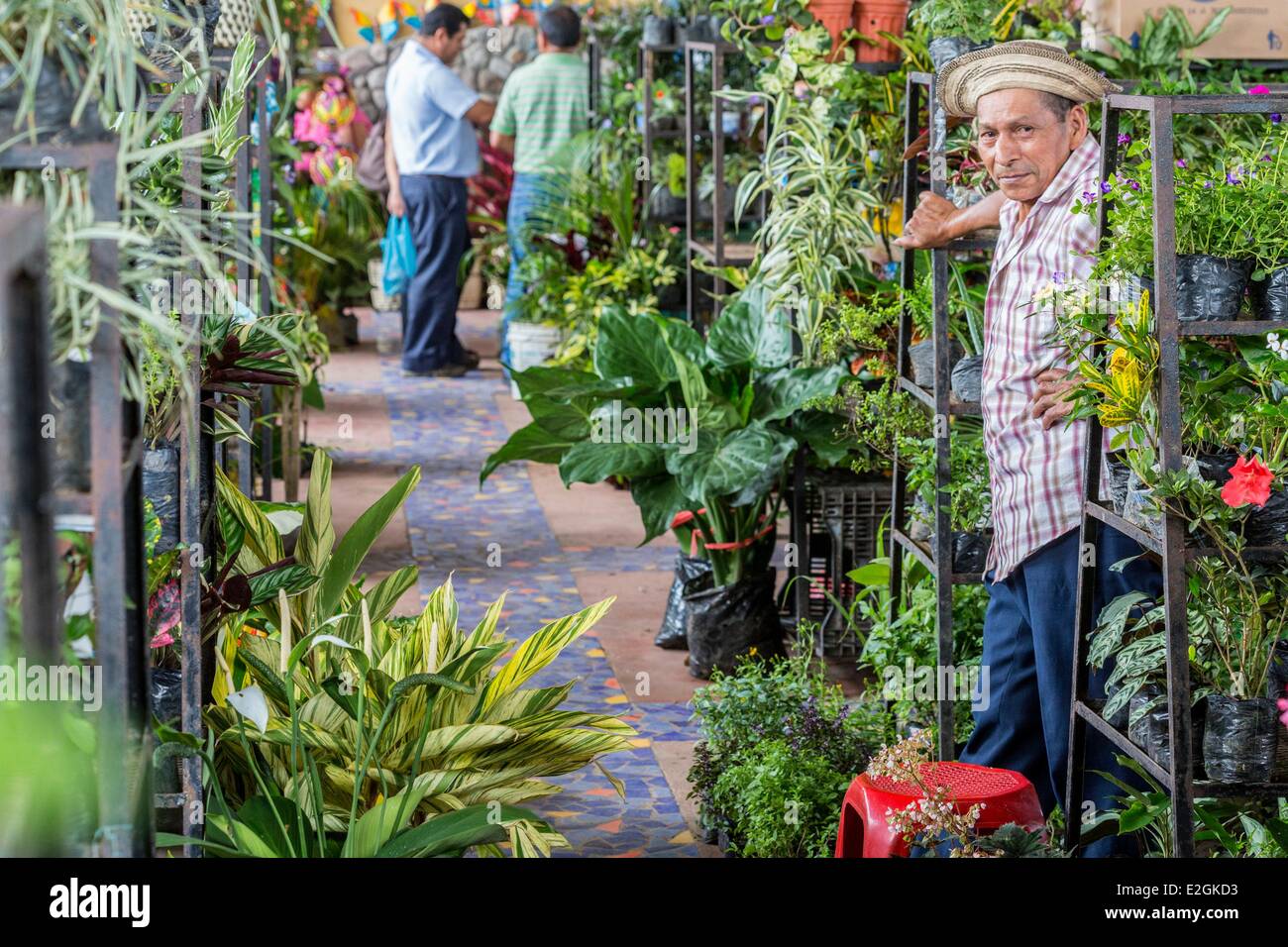 Panama Cocle province Anton Valley market stalls with plants and flowers Stock Photo