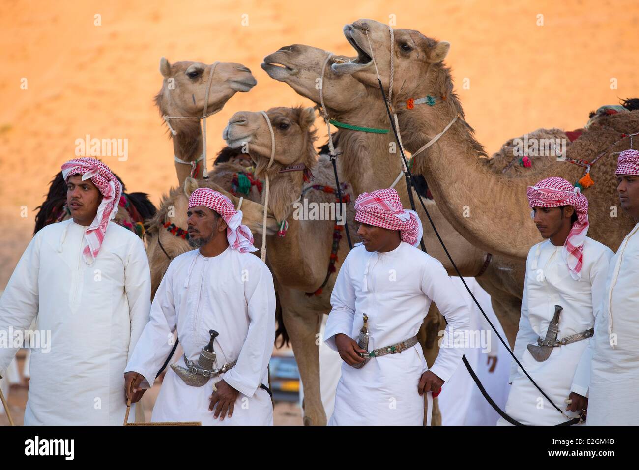 Sultanate of Oman Ash Sharqiyyah region Wahiba Sands Tawi Wareed 1000 Nights Camp Omani traditional evening Bedouins and their camels Stock Photo