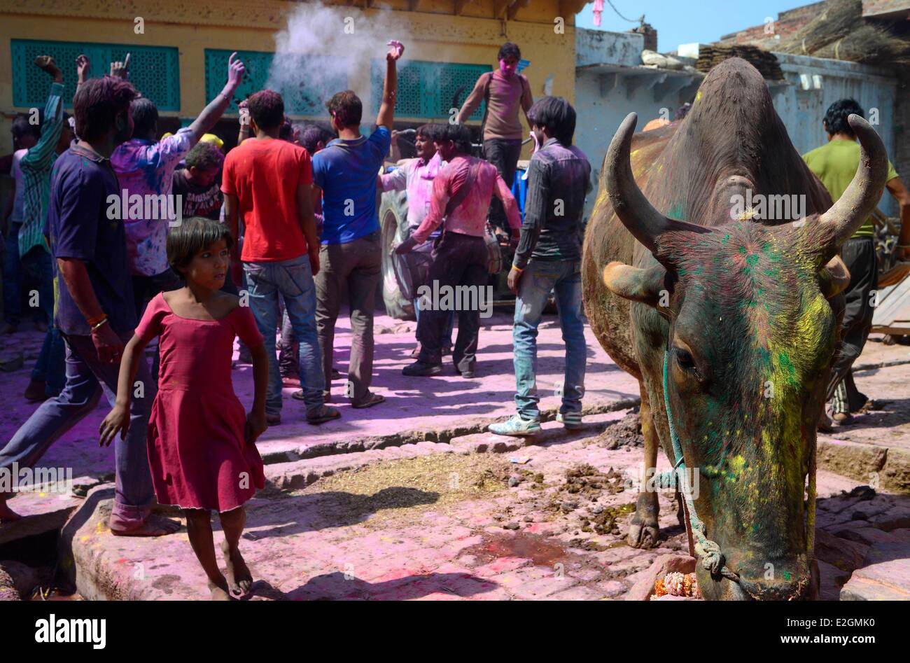 India Uttar Pradesh State Barsana people throw coloured powder in streets for celebrating love between Krishna and Radha during Holi festival celebrations Stock Photo