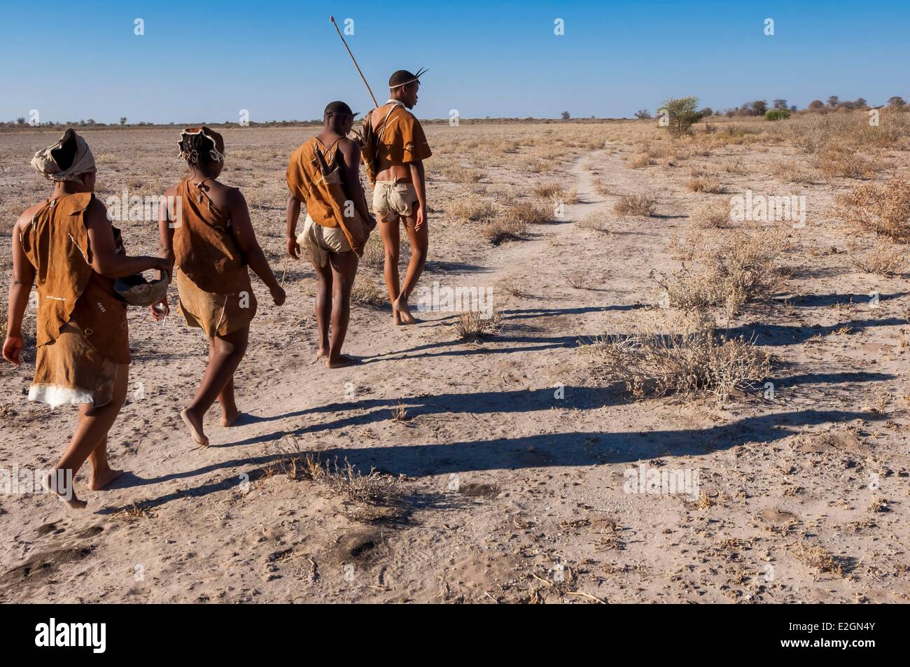 Botswana Central Kalahari Game Reserve Kalahari Plains Camp Wilderness Safaris Lodge educational walk with Bushmen Stock Photo