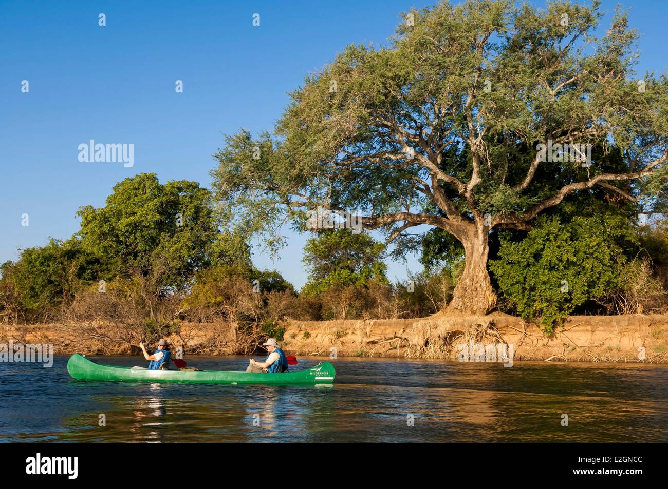 Zimbabwe Mashonaland West Province Mana Pools National Park listed as World Heritage by UNESCO Ruckomechi camp canoe safari on Zambezi river Stock Photo
