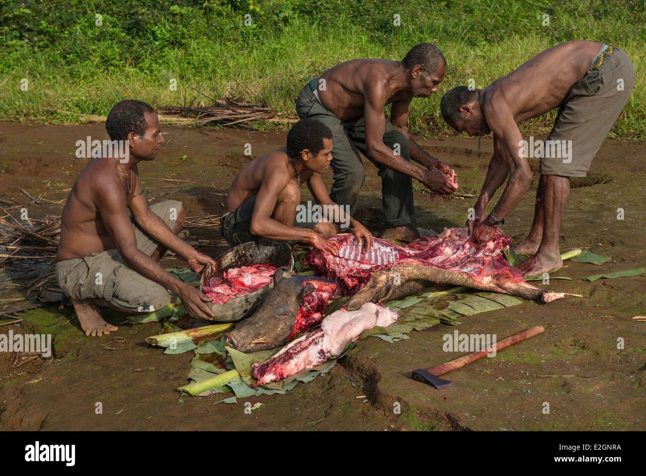Guinea pig hut hi-res stock photography and images - Alamy