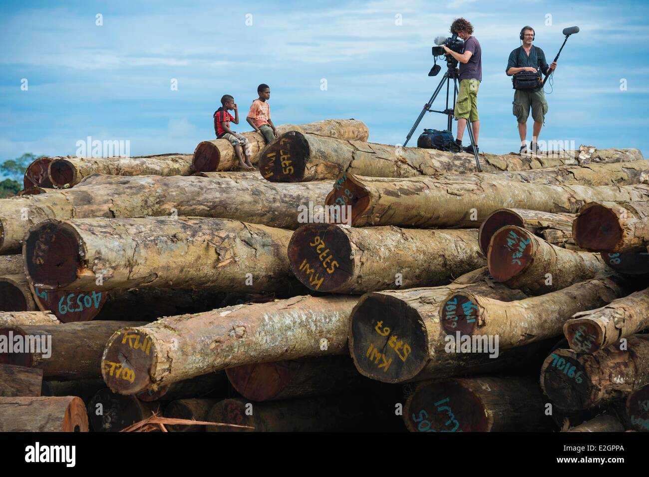 Papua New Guinea East Sepik province Sepik River Region village Marienbag logging filming session Stock Photo