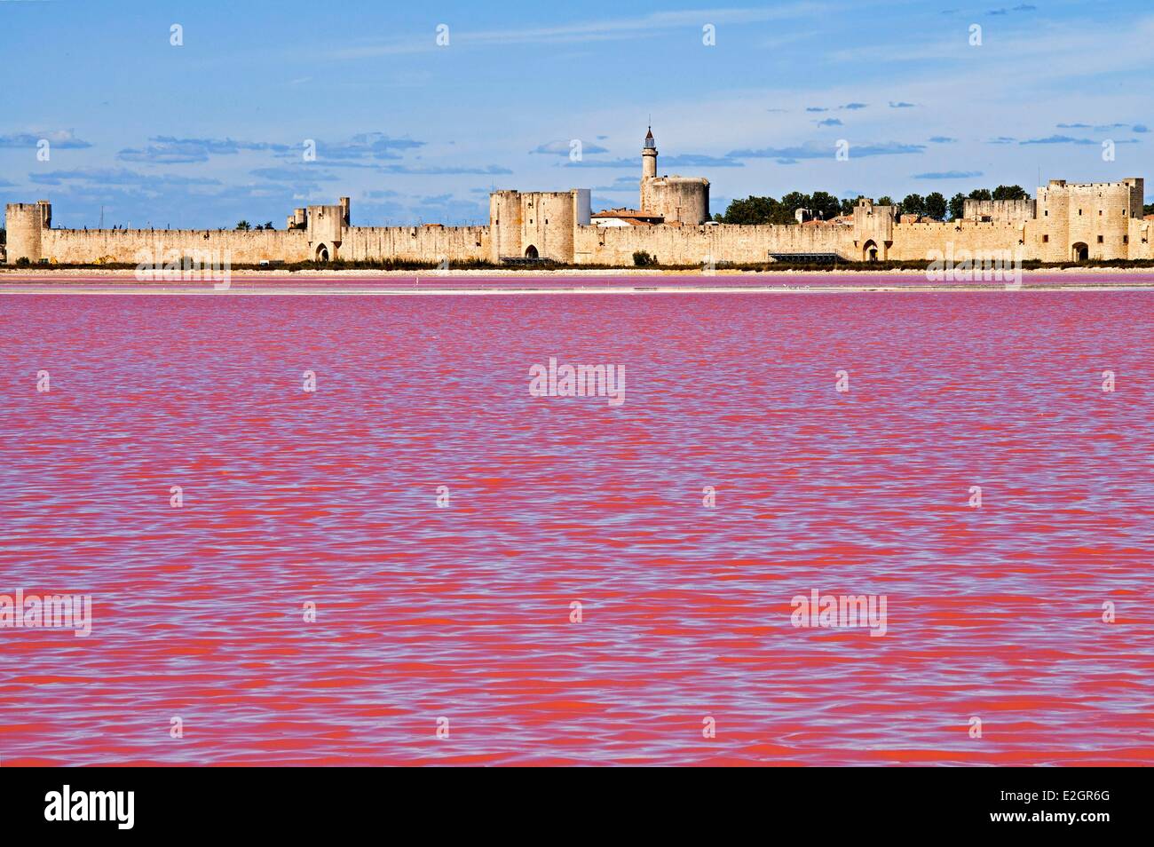 France Gard Aigues Mortes Compagnie des Salins du Midi which exploits salt marsh of Aigues Mortes was awarded prize of best site management for biodiversity delivered by Ministry of Ecology Stock Photo