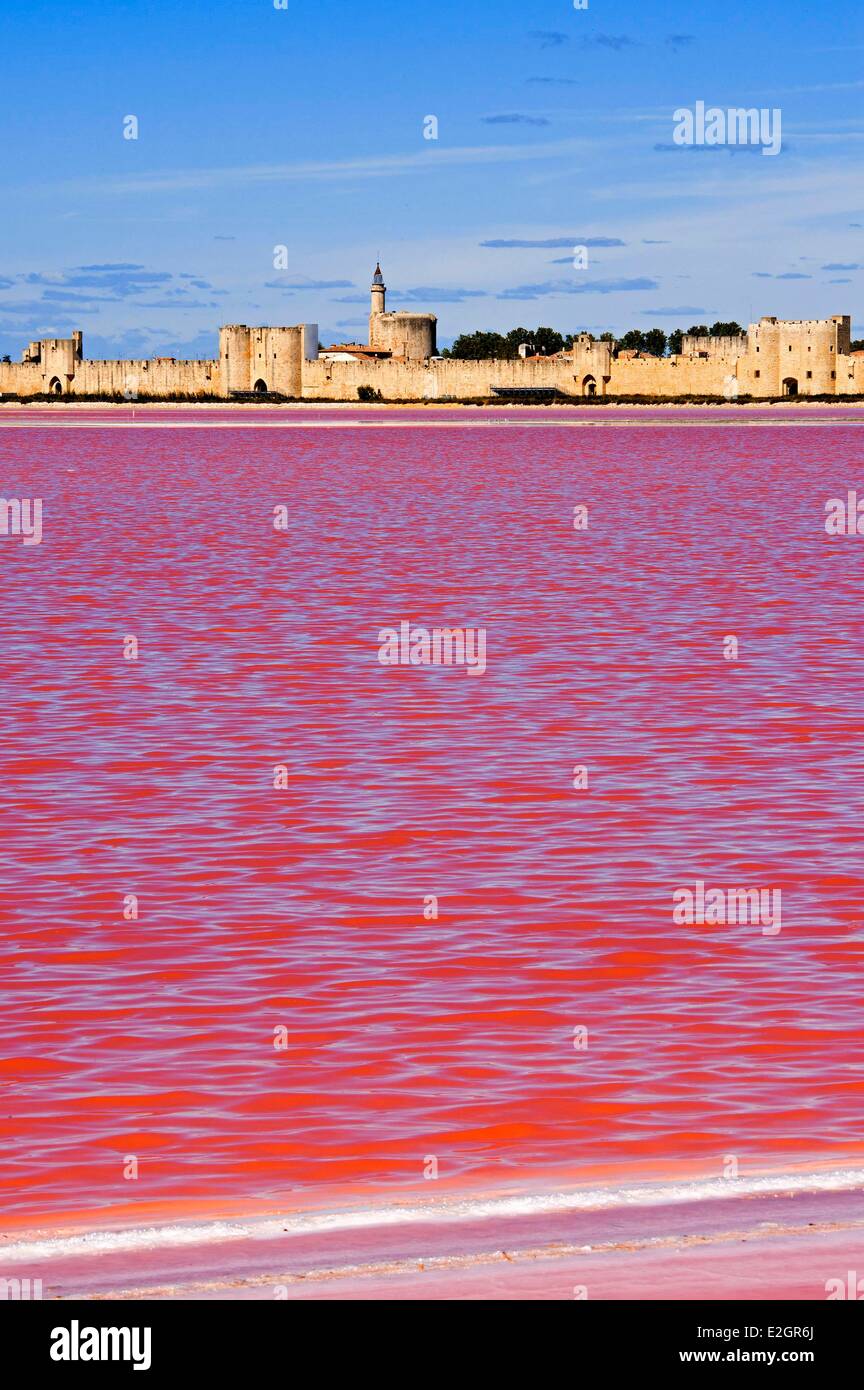 France Gard Aigues Mortes Compagnie des Salins du Midi which exploits salt marsh of Aigues Mortes was awarded prize of best site management for biodiversity delivered by Ministry of Ecology Stock Photo