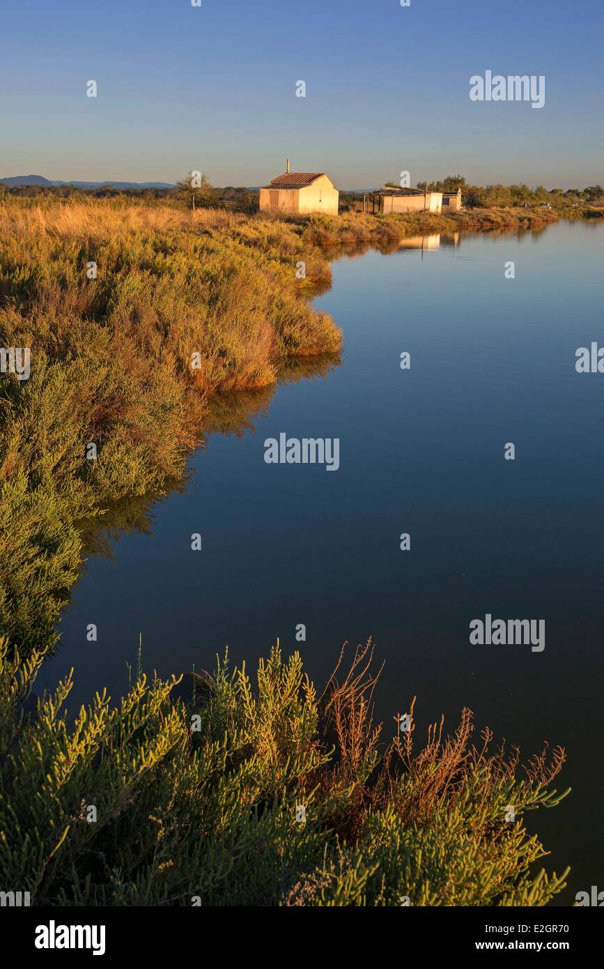 France Herault Camargue Sunrise on Etang de l'Or Stock Photo Alamy