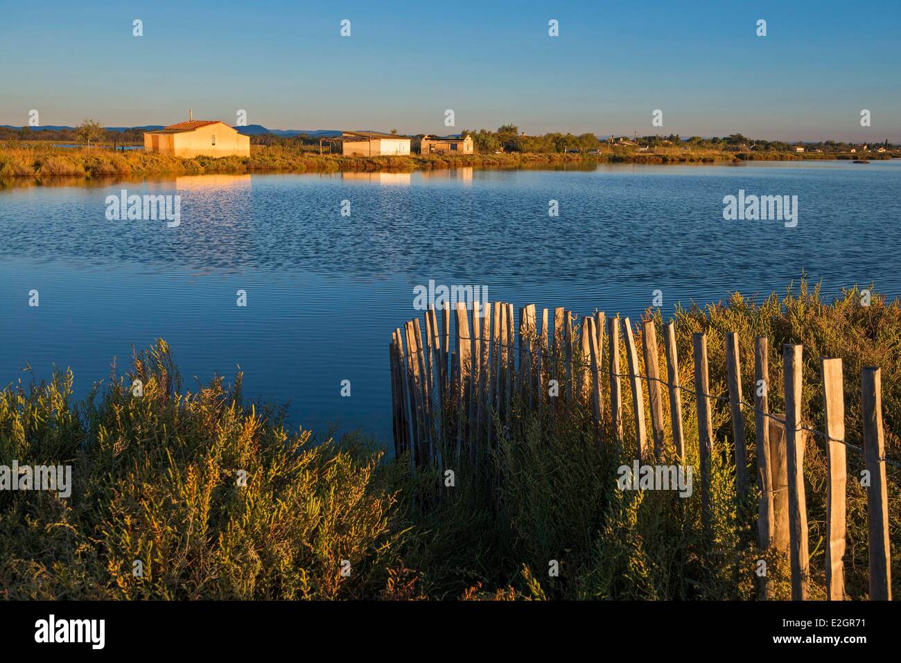 Etang de l'or hires stock photography and images Alamy