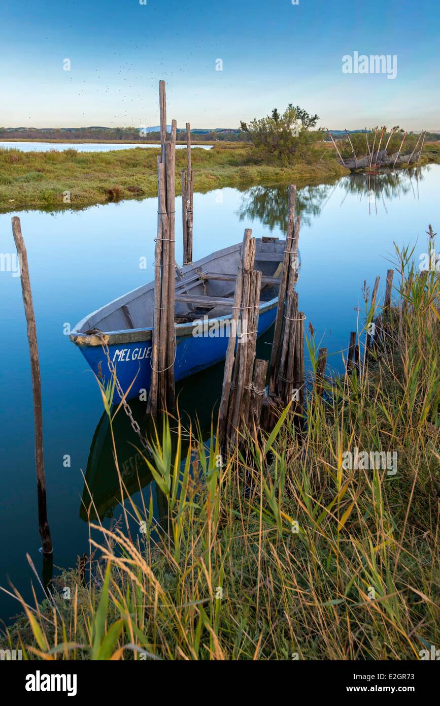 France Herault Camargue Etang de l'Or Stock Photo Alamy