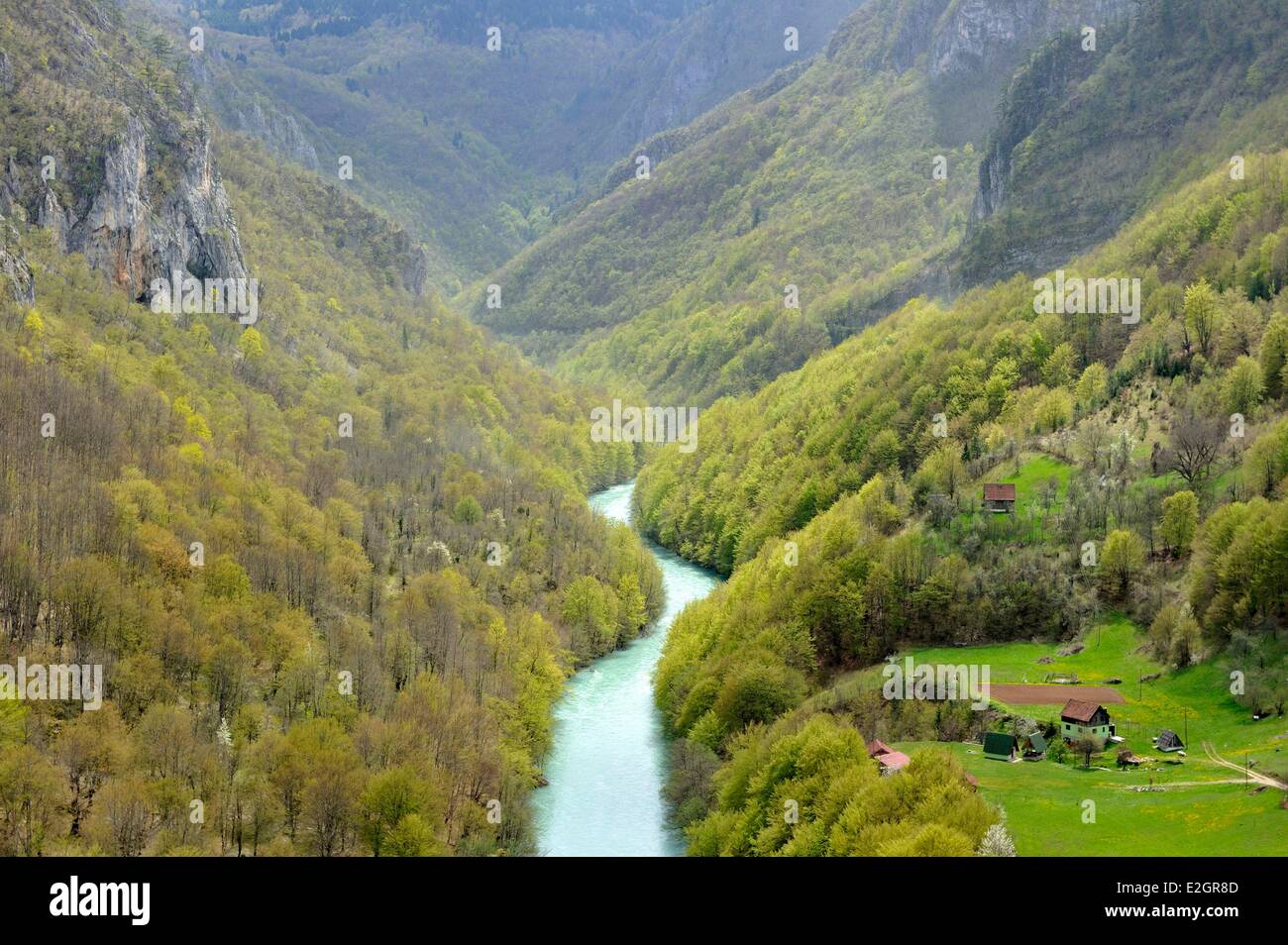 Montenegro Northern mountains Tara canyon Stock Photo