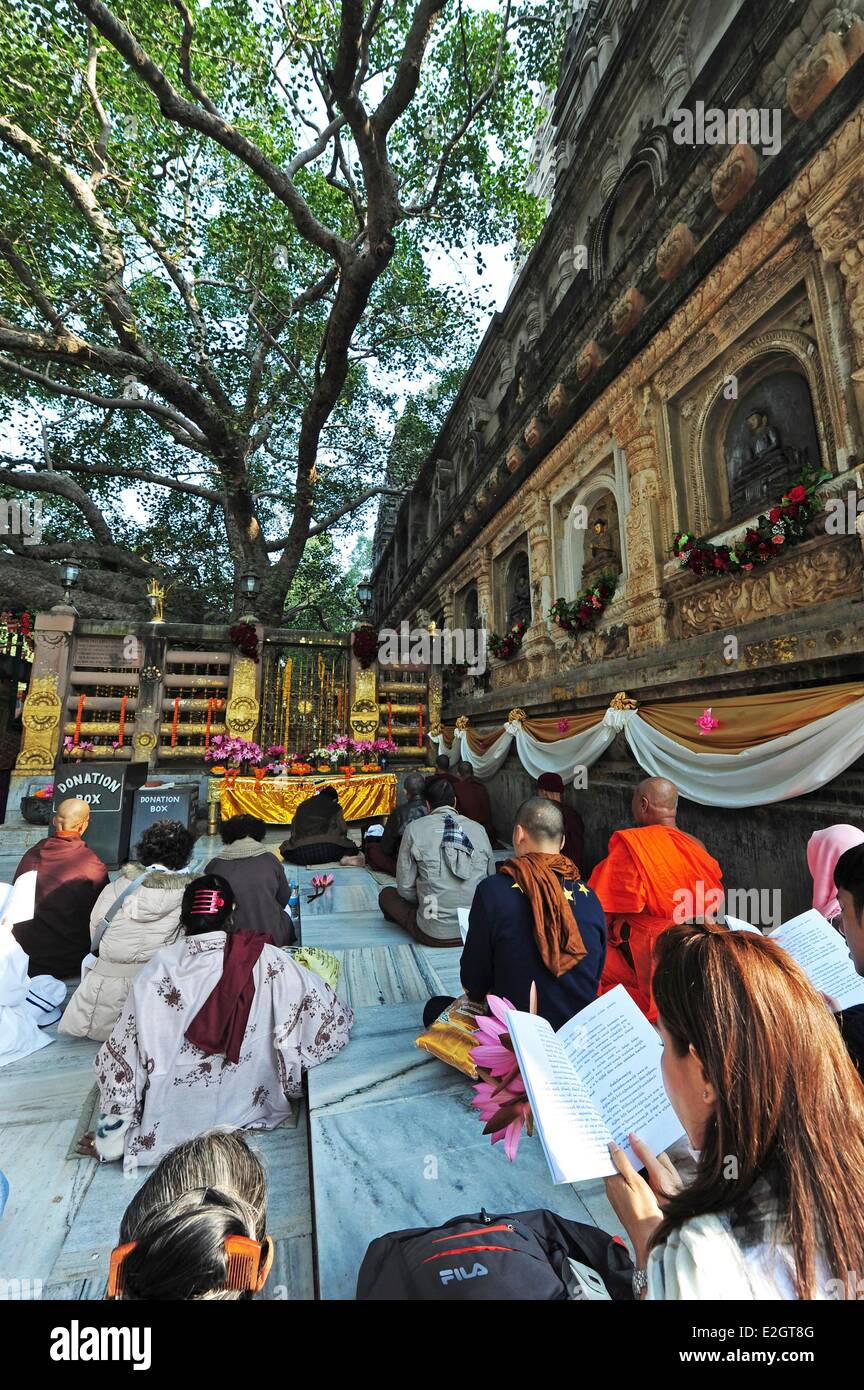 India Bihar State Bodh Gaya Listed As World Heritage By Unesco Mahabodhi Temple Complex Great Awakening Temple Buddhist Temple Where Siddhartha Gautama Buddha Attained Enlightenment People Praying In Front Of Banyan Holy