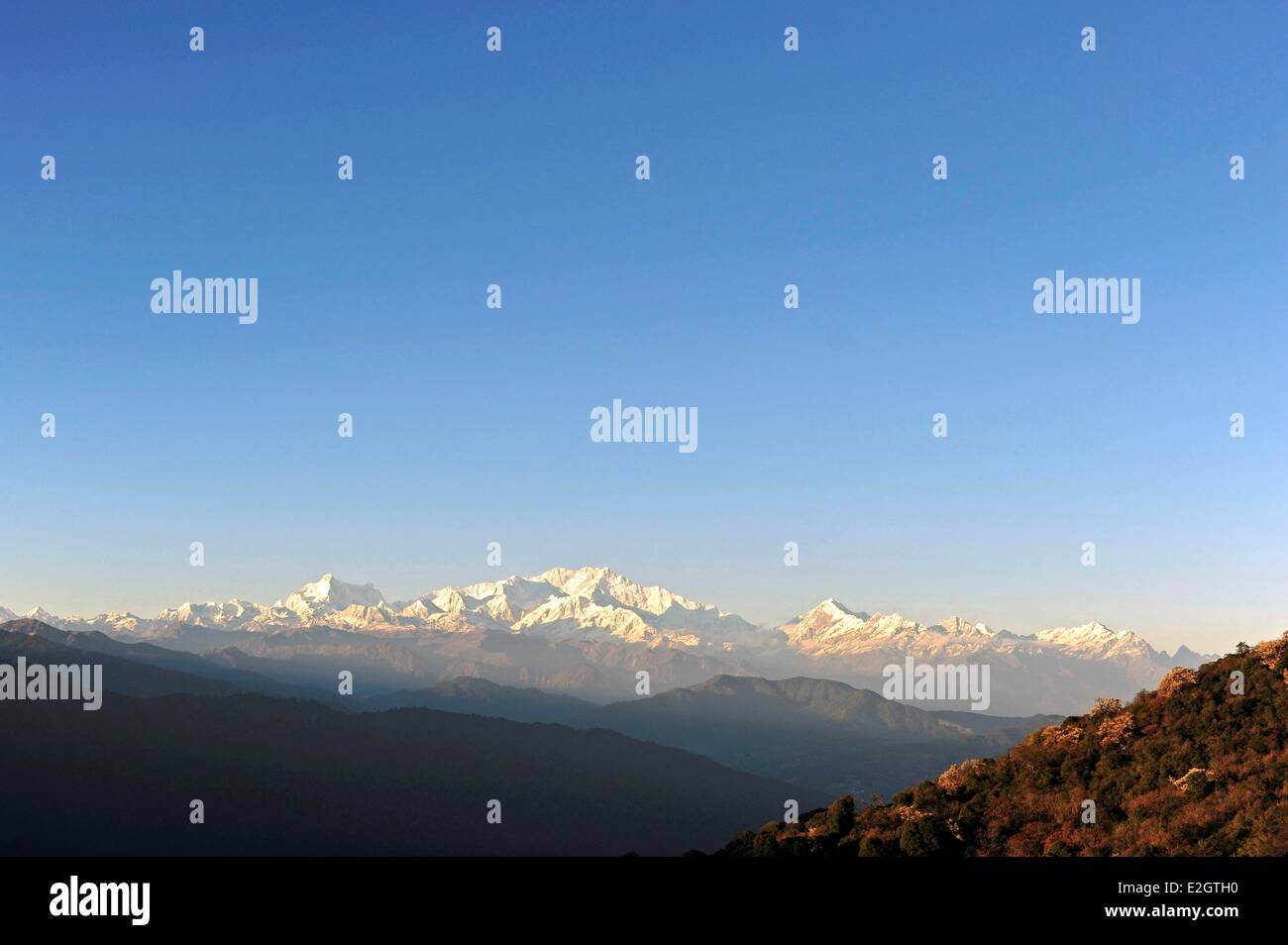 India West Bengal state Singalila National Park Tonglu view on snowcapped Kangchenjunga Stock Photo