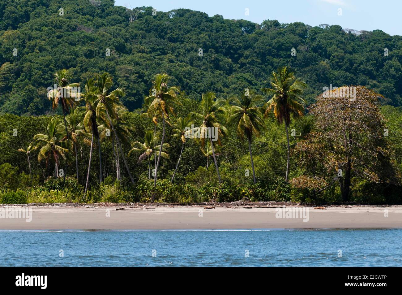 Costa Rica Osa peninsula Drake bay Stock Photo - Alamy