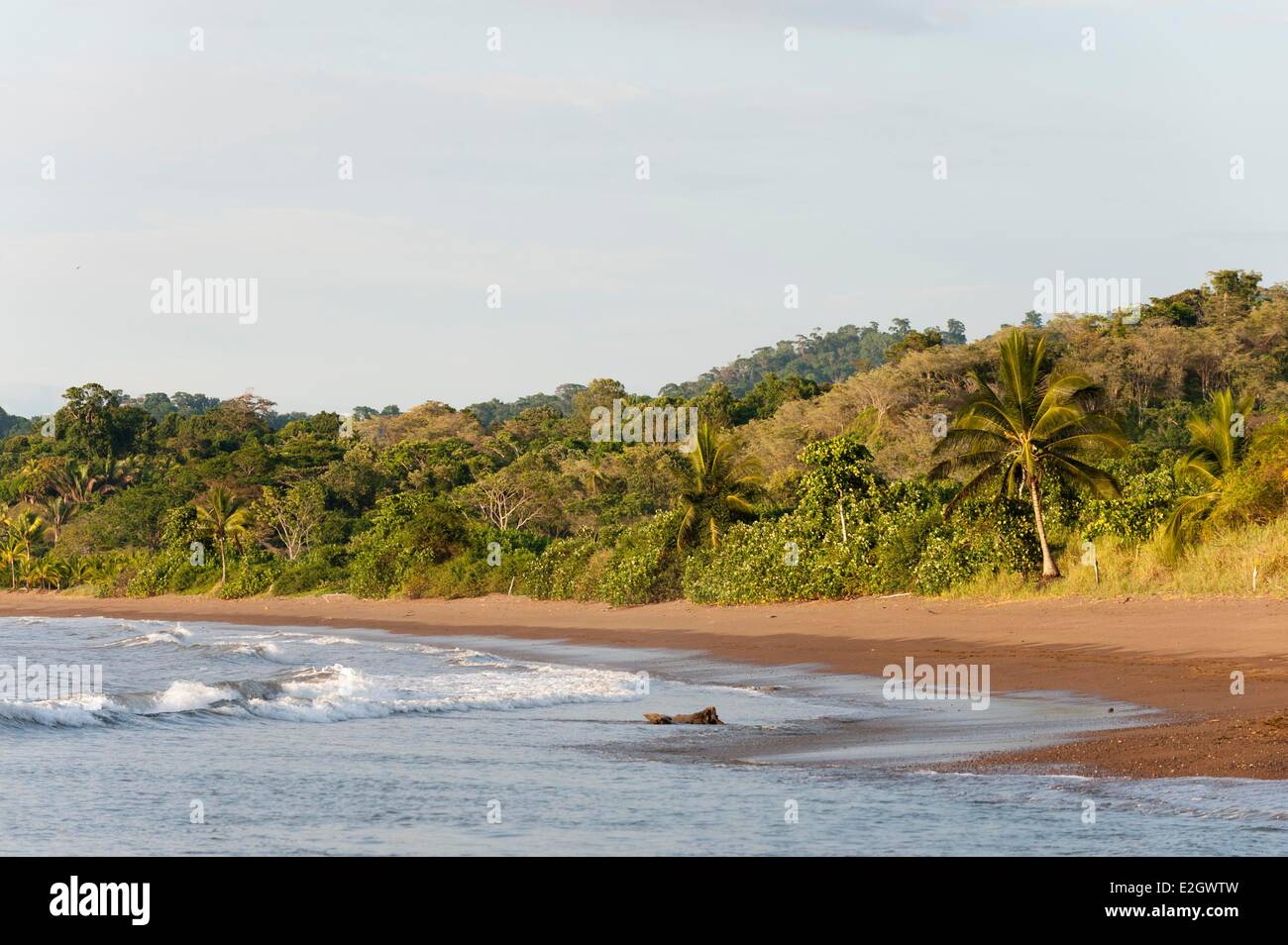 Costa Rica Osa peninsula Drake bay Stock Photo - Alamy
