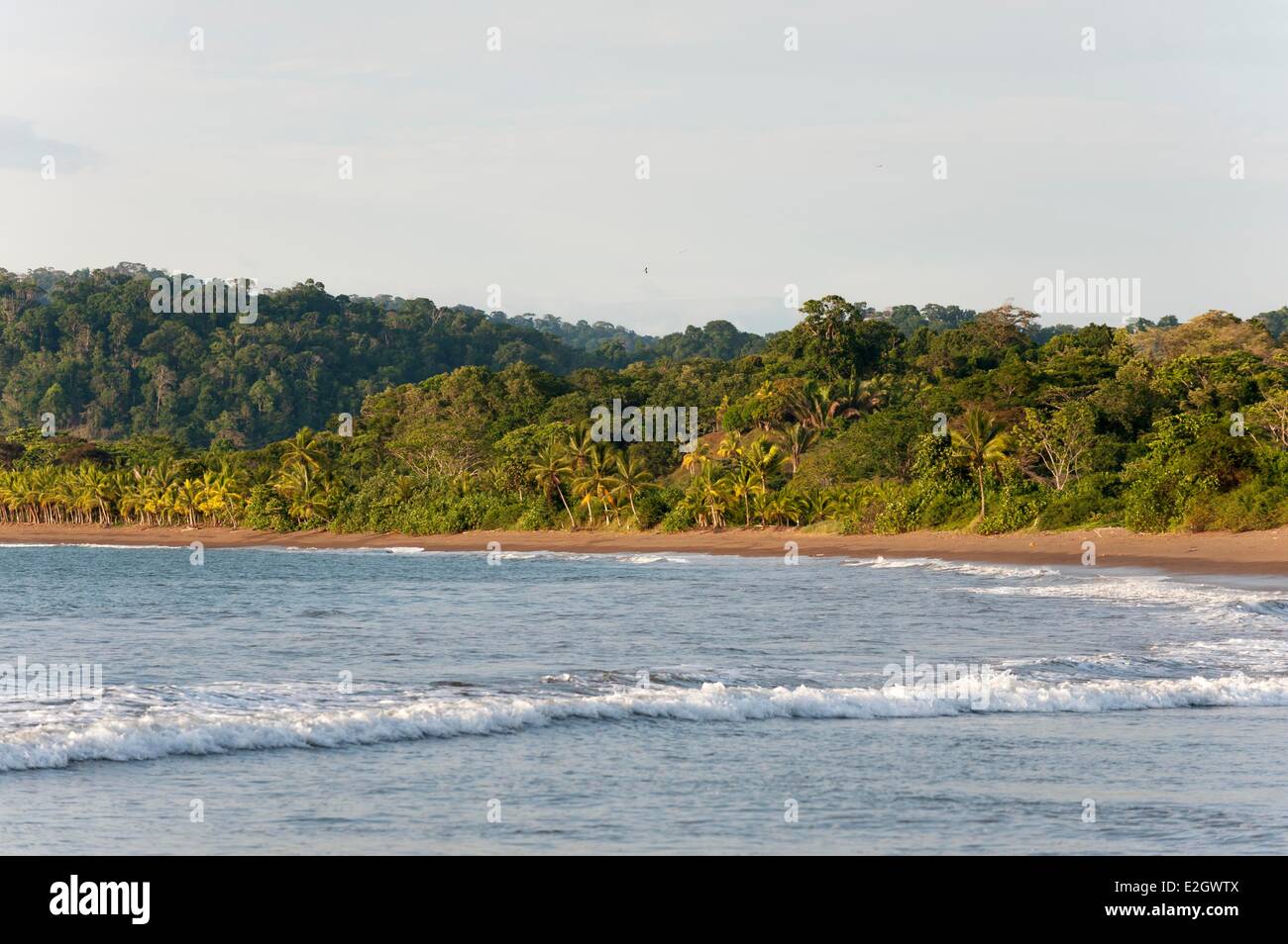 Costa Rica Osa peninsula Drake bay Stock Photo - Alamy