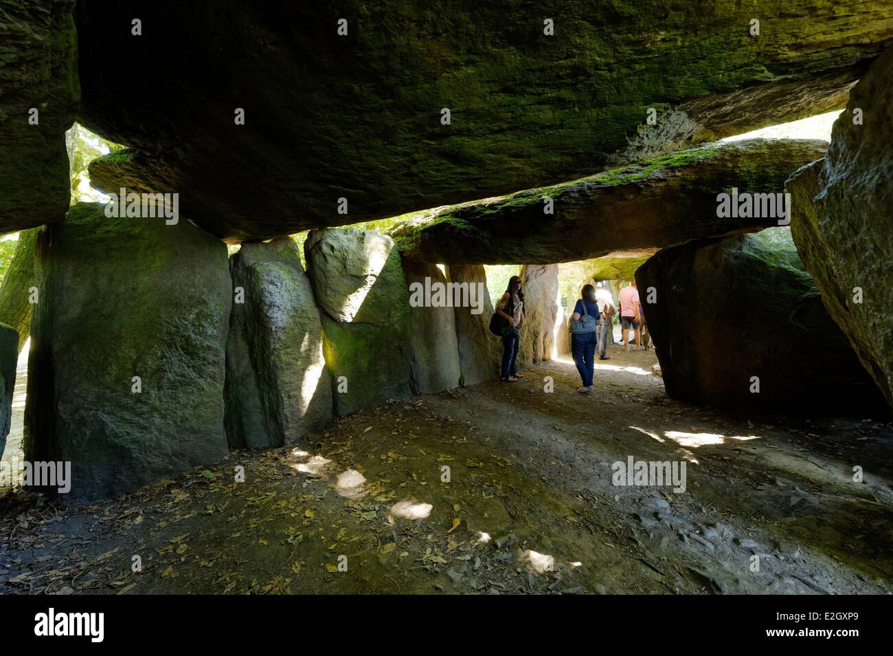 France Ille et Vilaine Esse La Roche aux Fees most important megalithic monument of Brittany a