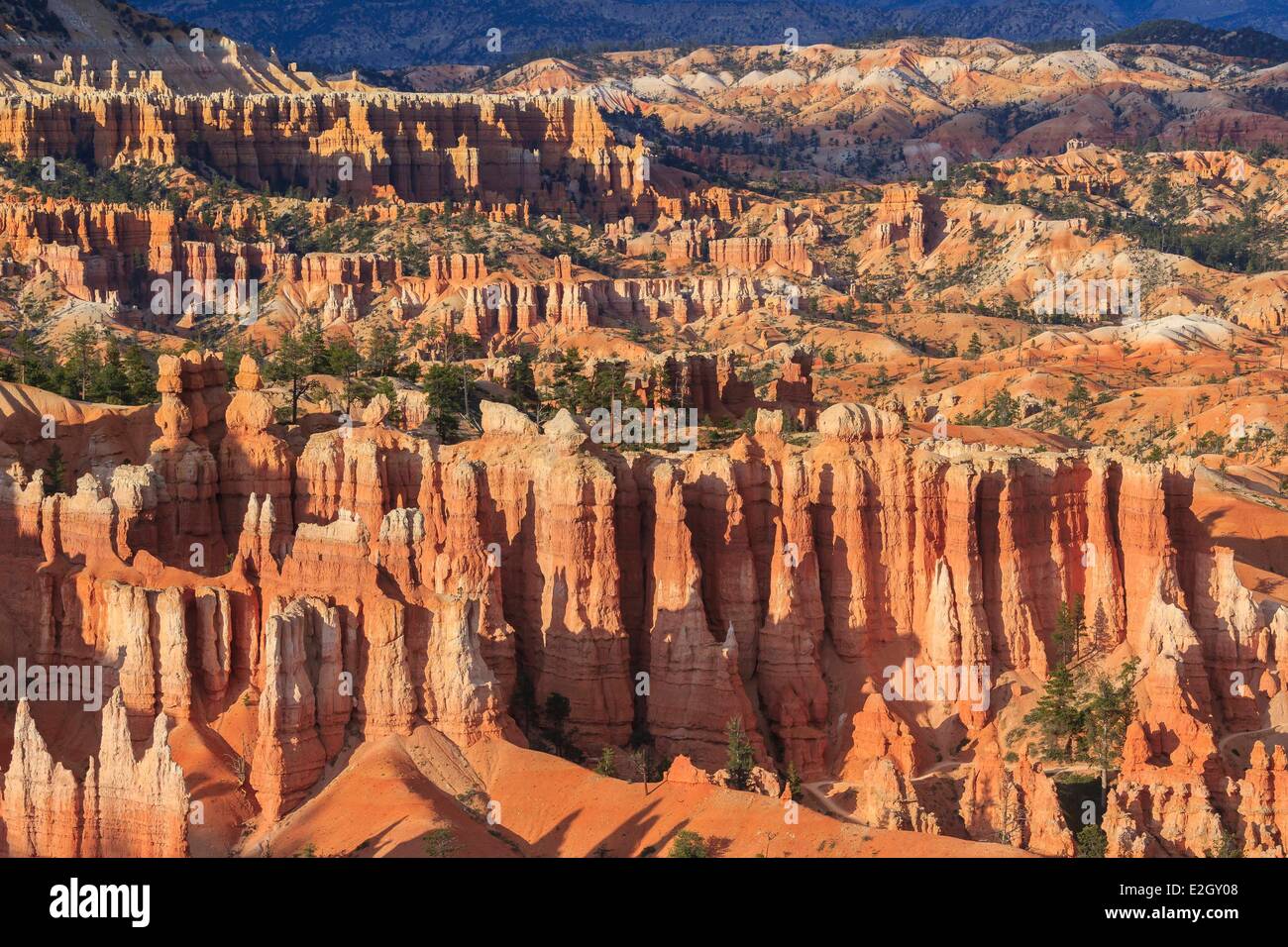 United States Utah Colorado Plateau Bryce Canyon National Park hoodoos sunset point Stock Photo
