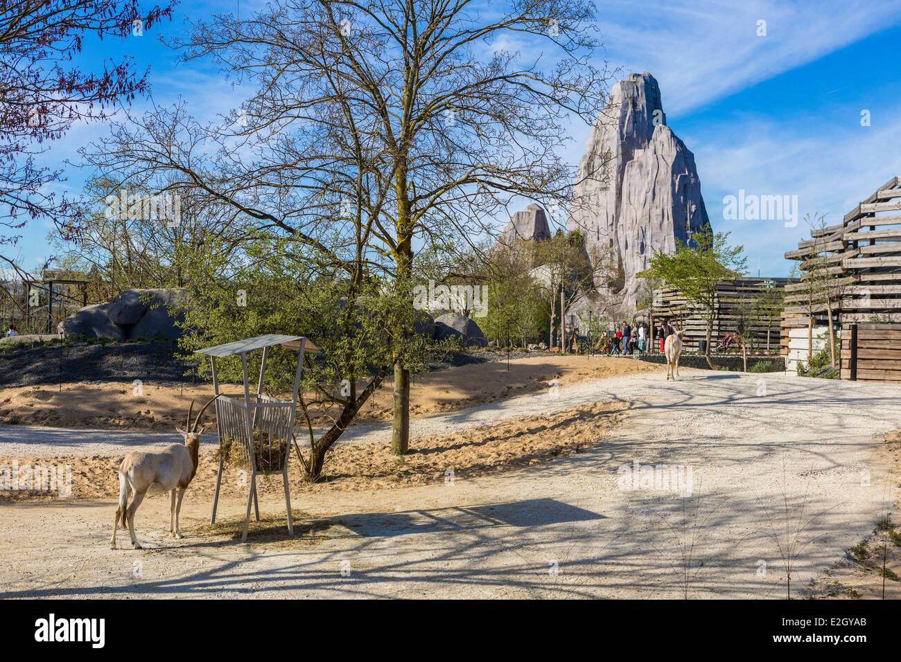 France Paris Paris Zoological Park (Zoo de Vincennes Stock Photo Alamy