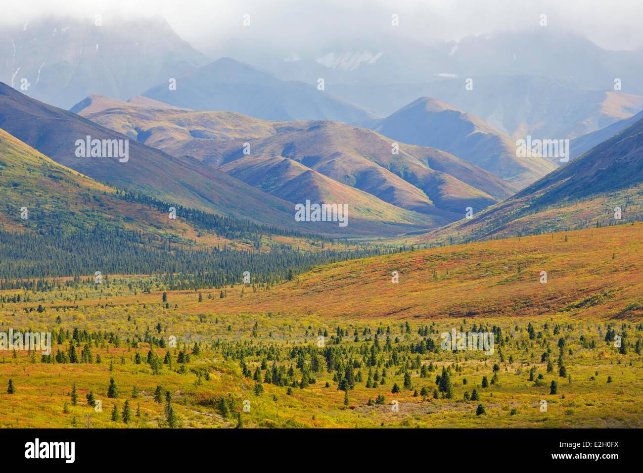 United States Alaska Denali National Park end of summer on Denali range